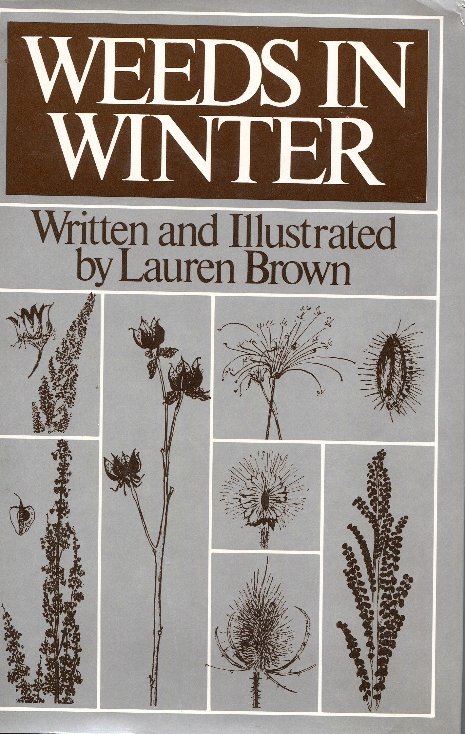 Weeds in Winter book cover