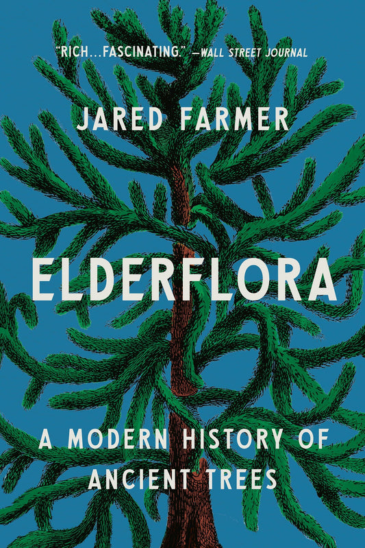 Elderflora