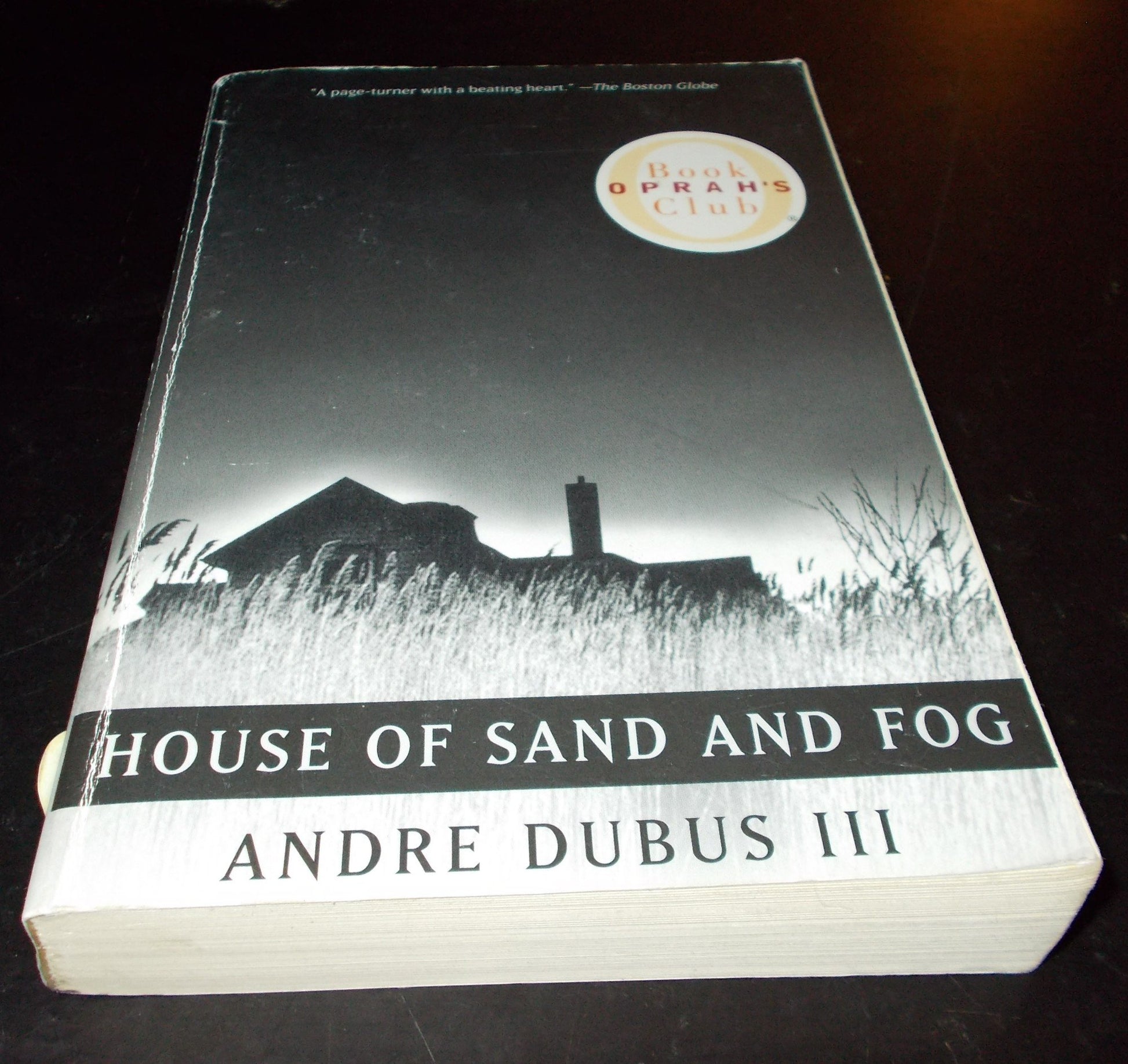 House of Sand and Fog (Oprah's Book Club) (Vintage Contemporaries) book cover