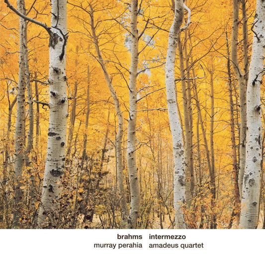 Intermezzo: Music for You book cover