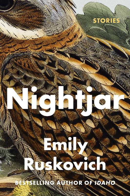 Nightjar book cover