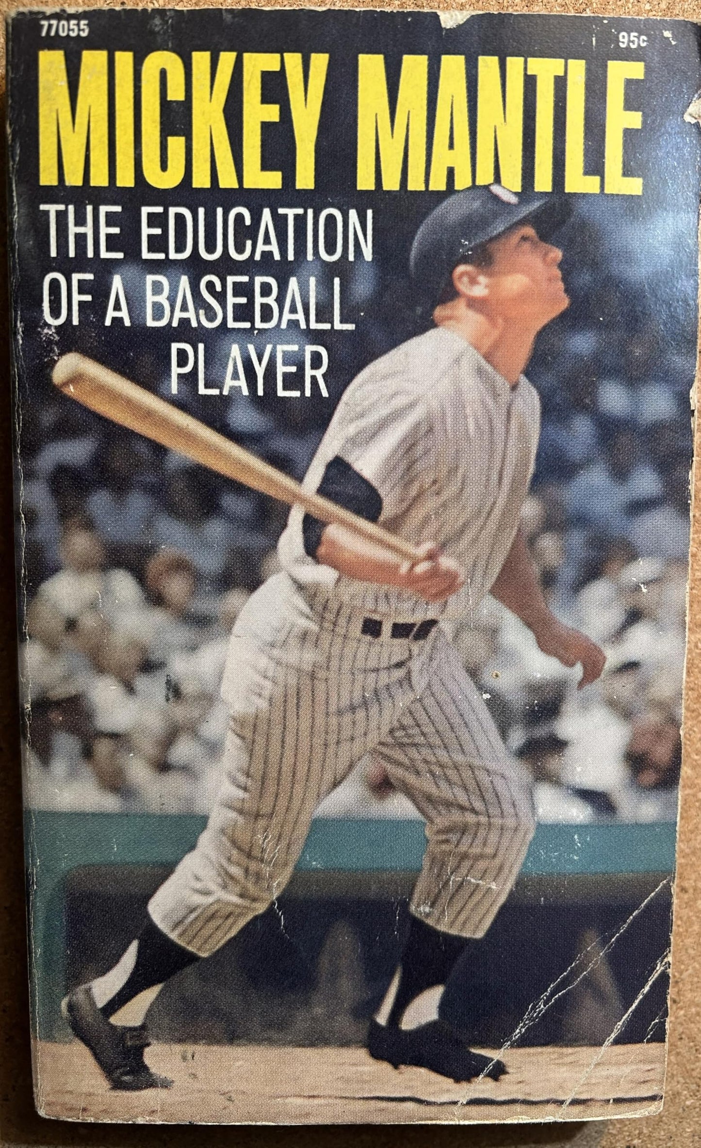 The Education Of A Baseball Player book cover