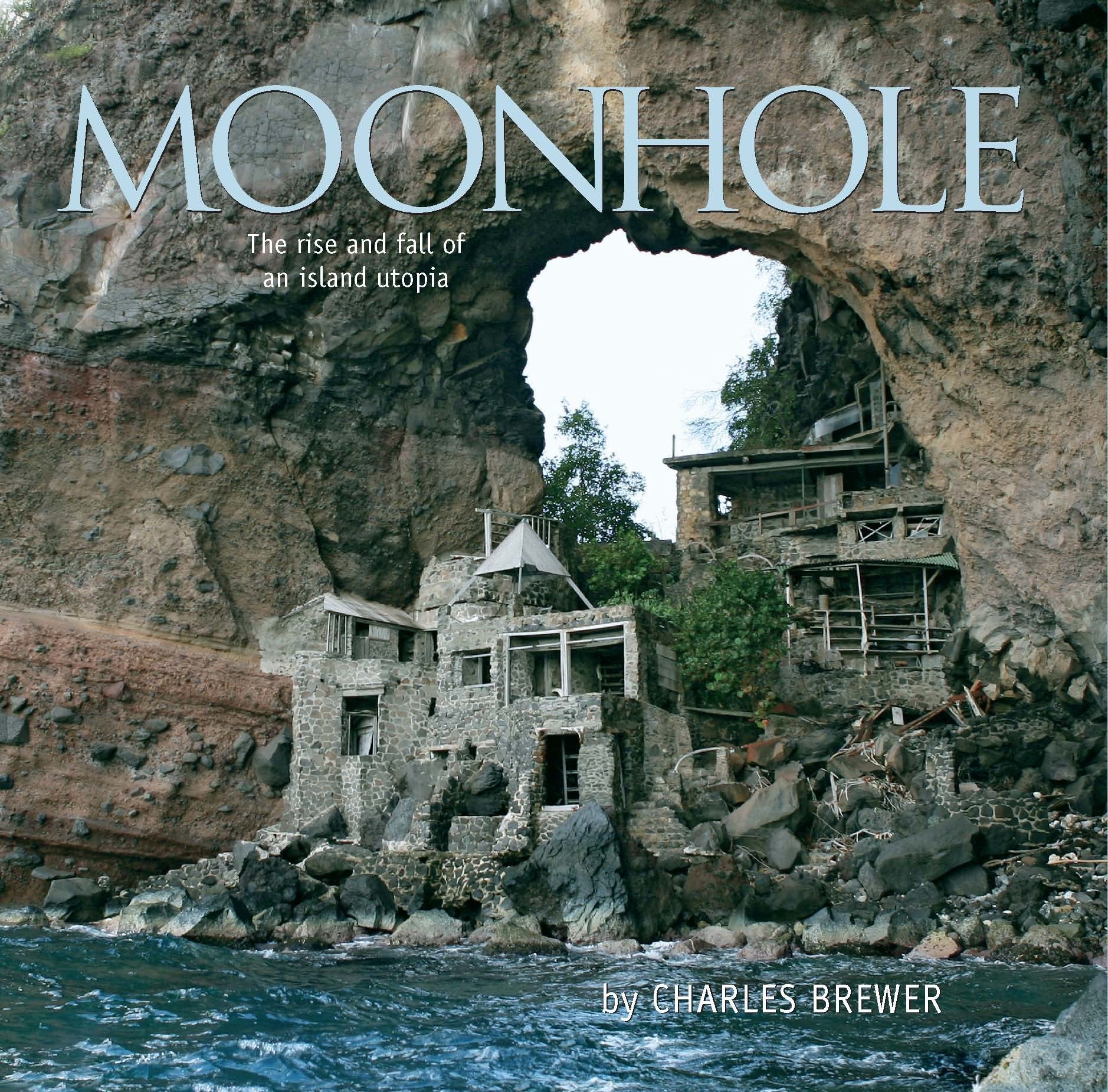 Moonhole book cover