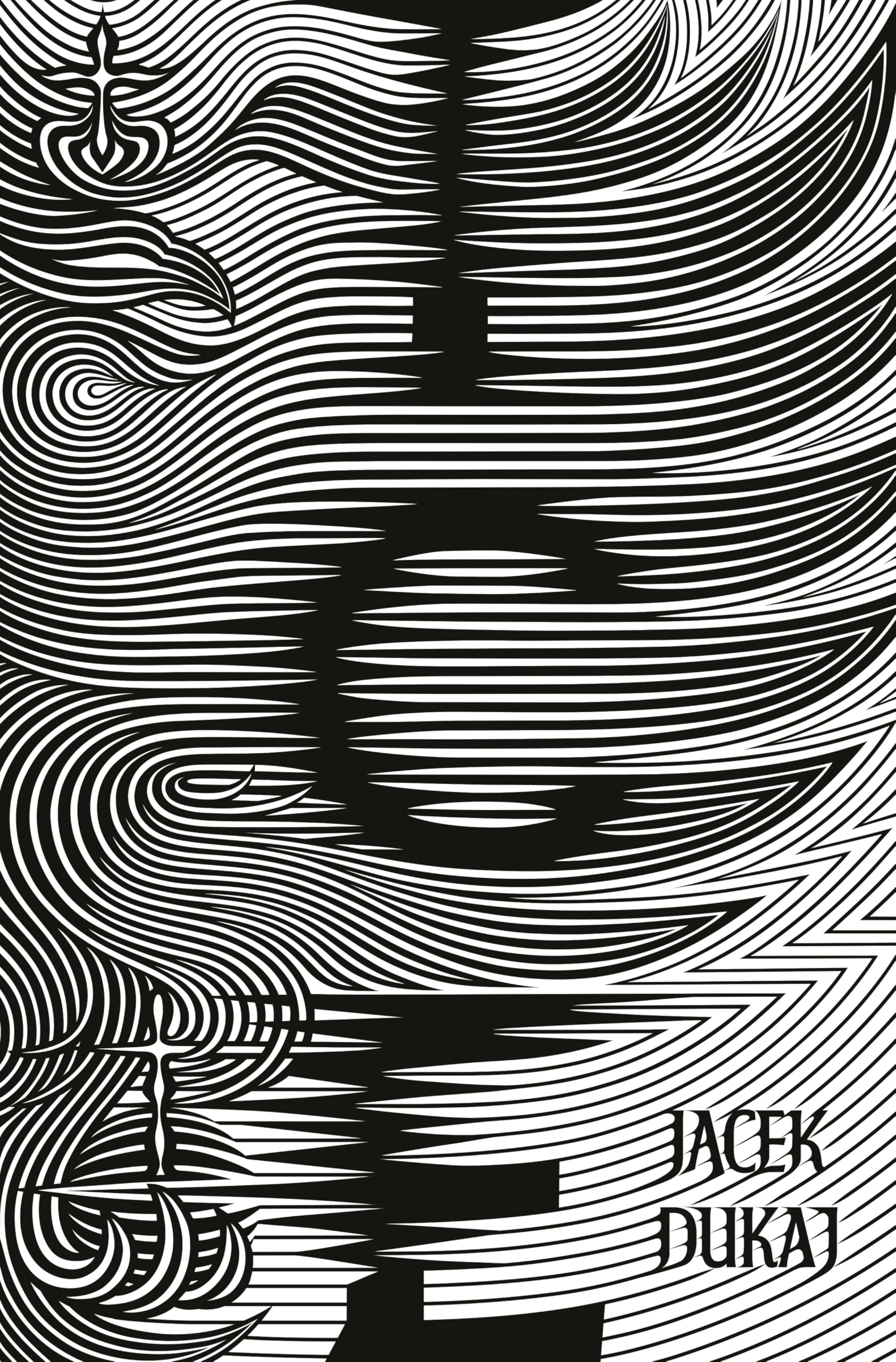 Ice book cover