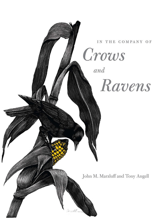 In the Company of Crows and Ravens book cover