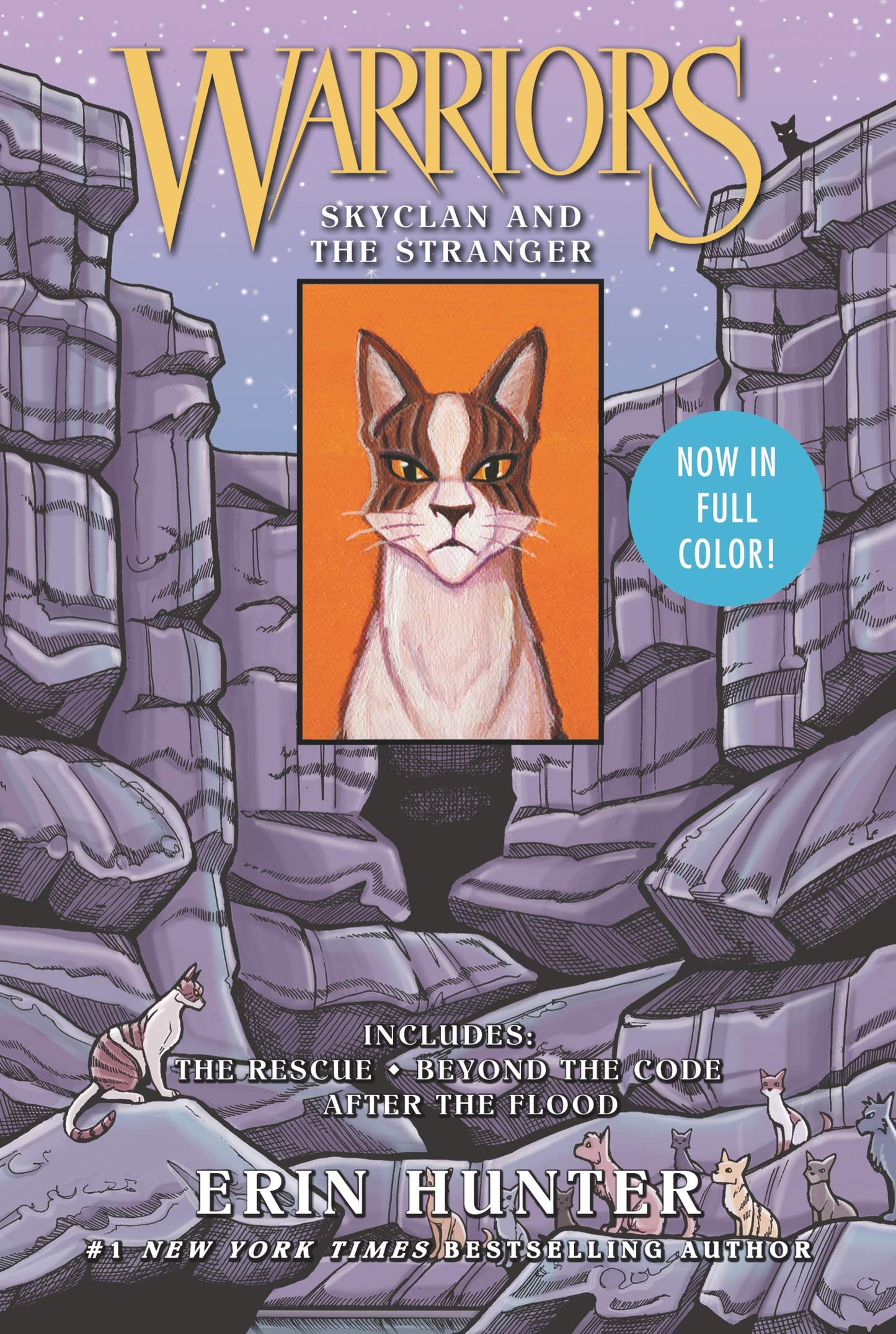Warriors: Skyclan and the Stranger: 3 Full-Color Warriors Books in 1 book cover