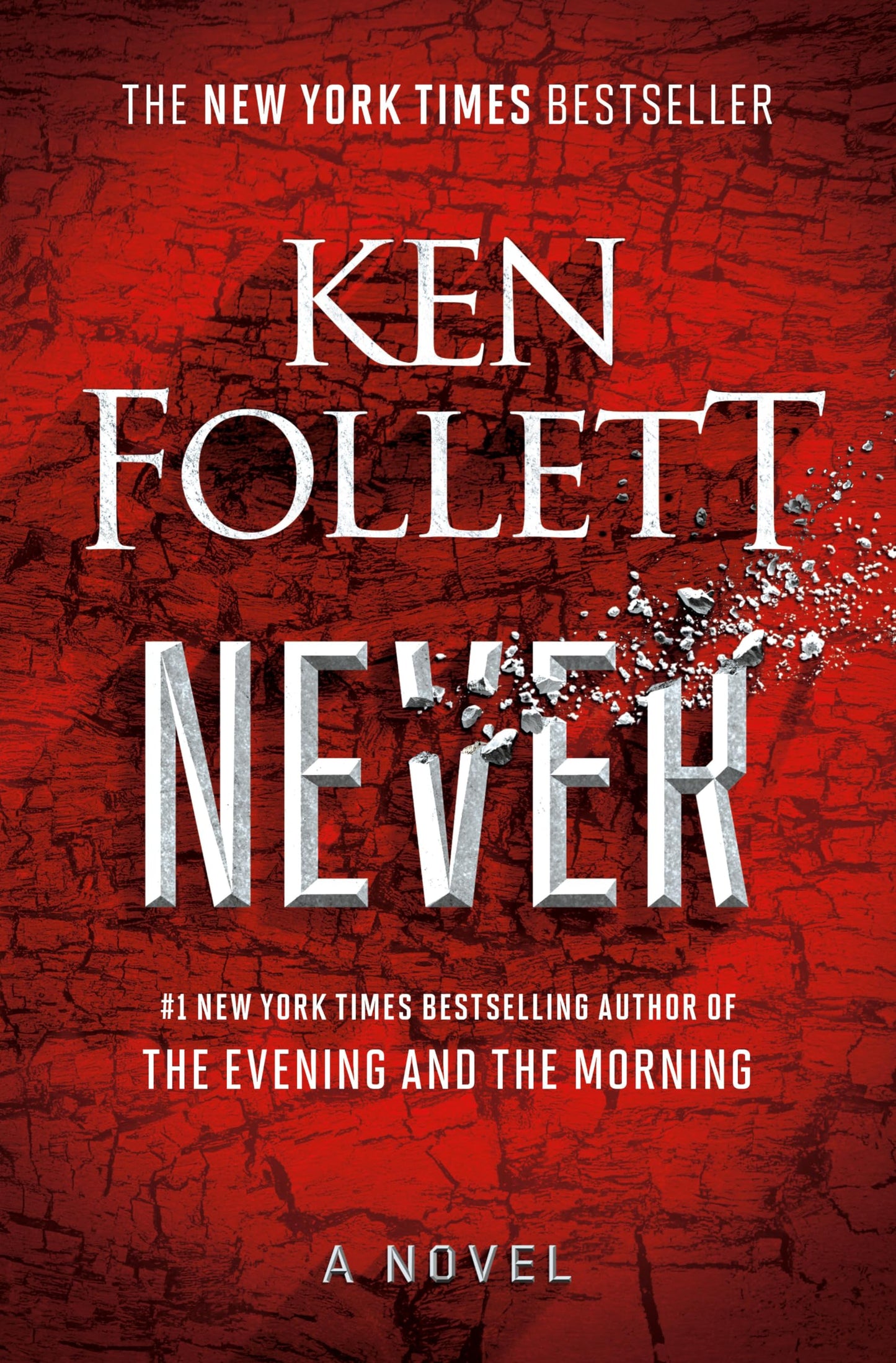 Never book cover
