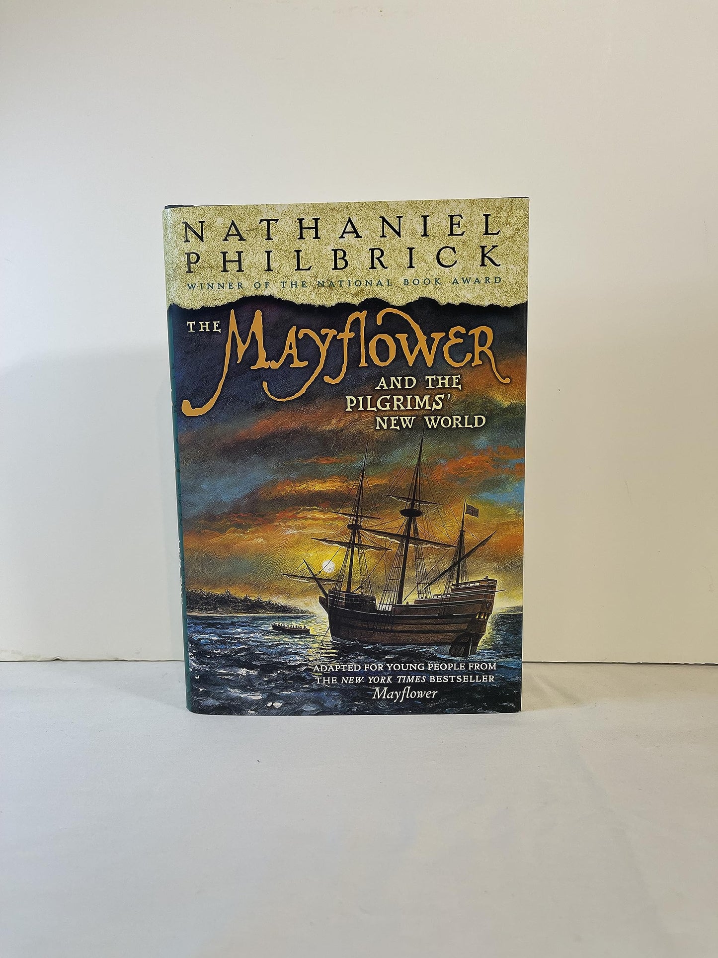 Mayflower and the Pilgrims' New World book cover