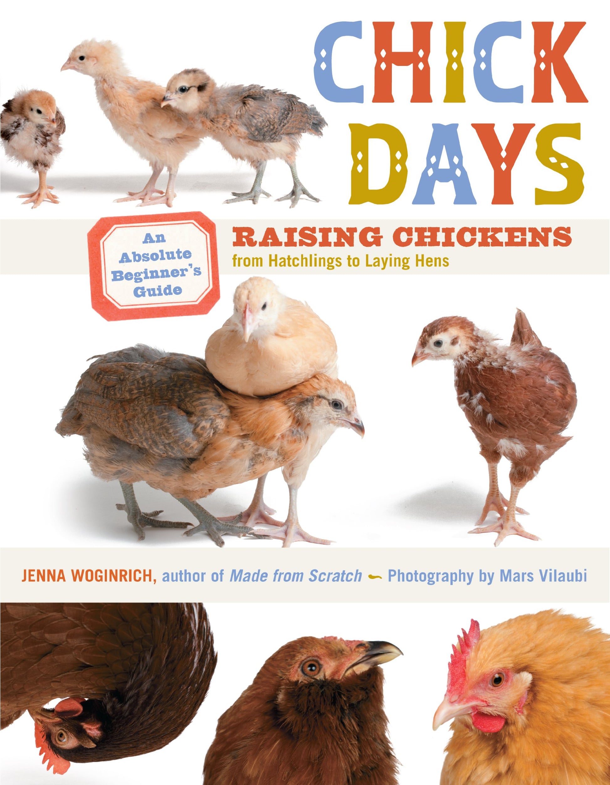 Chick Days: An Absolute Beginner's Guide to Raising Chickens from Hatchlings to Laying Hens book cover