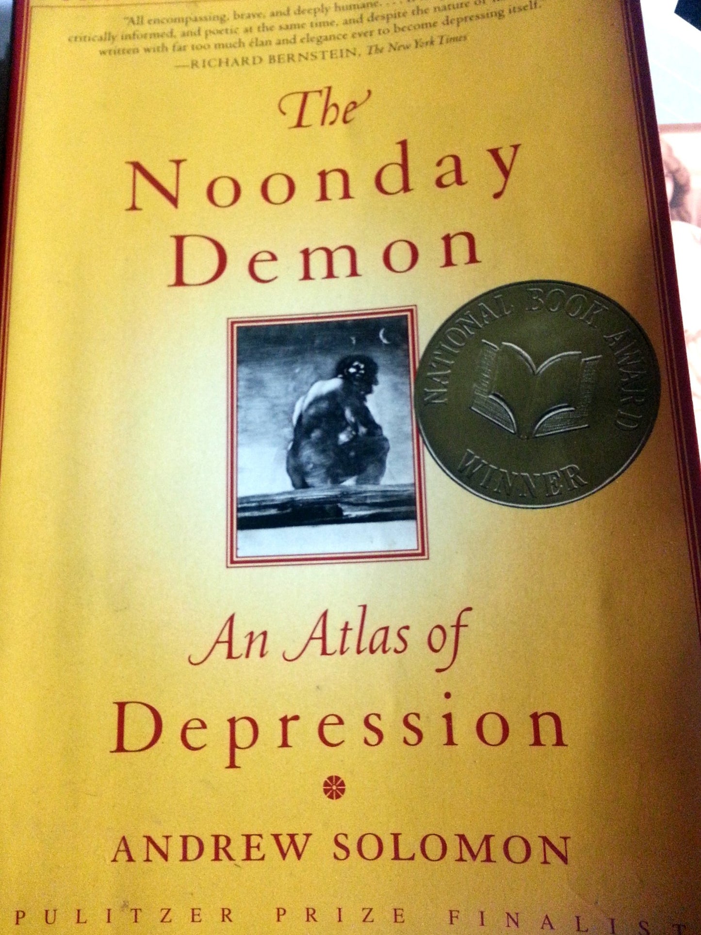 Noonday Demon: An Atlas of Depression book cover