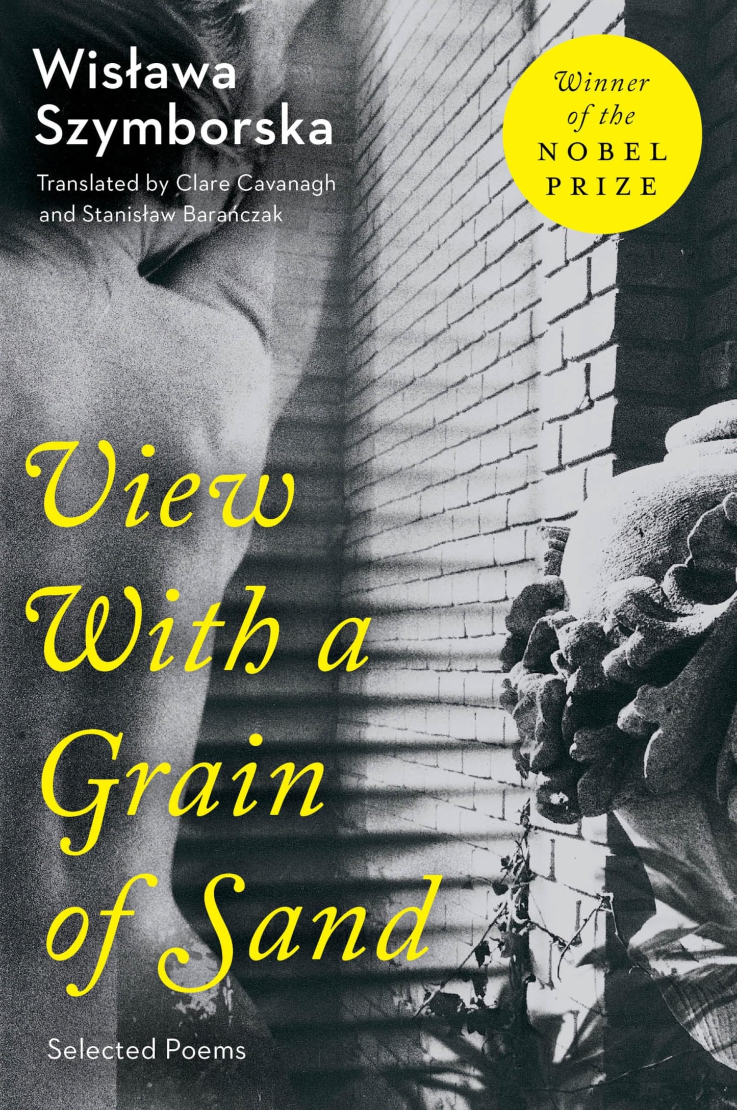 View with a Grain of Sand: Selected Poems book cover