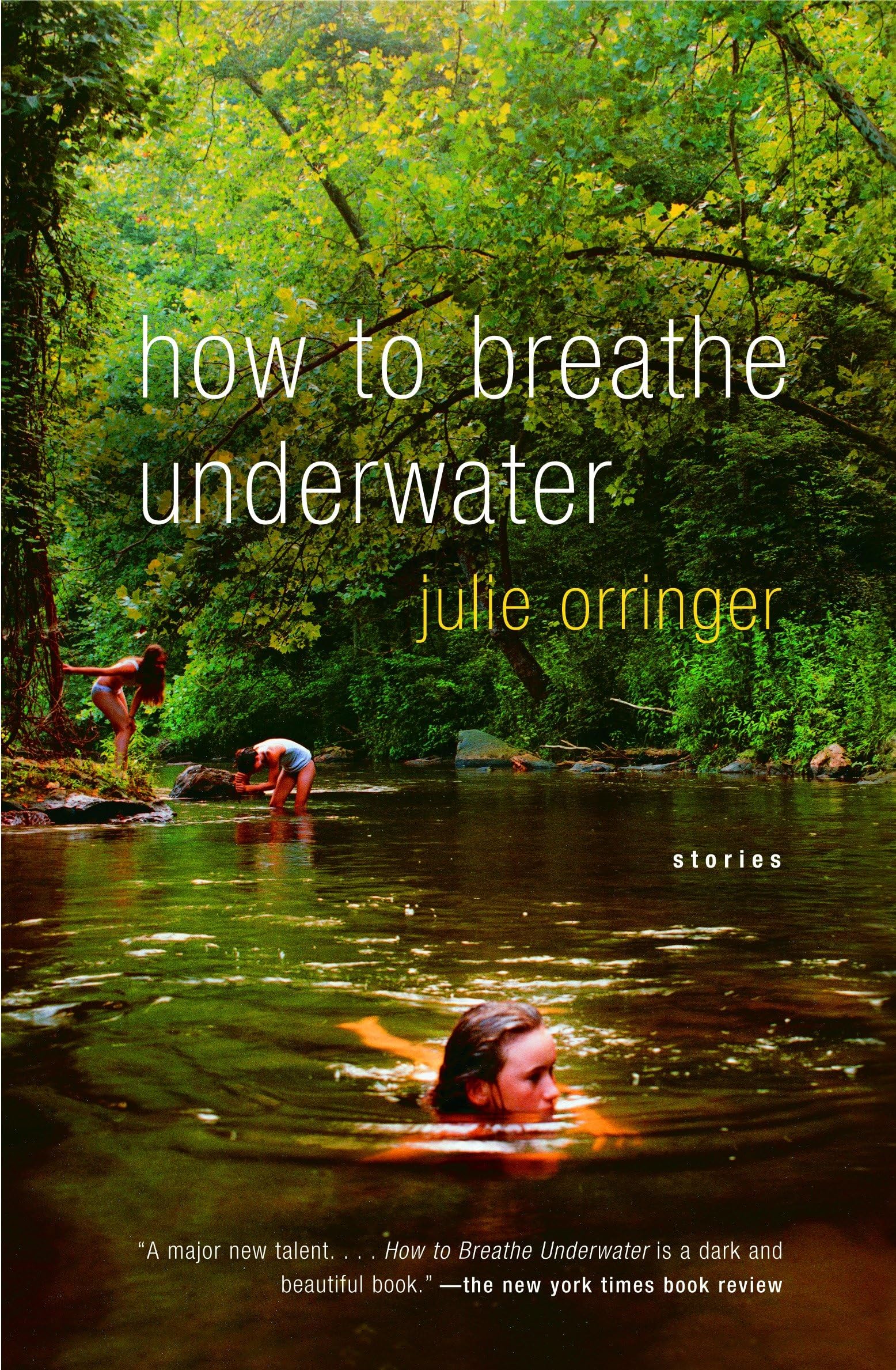 How to Breathe Underwater book cover