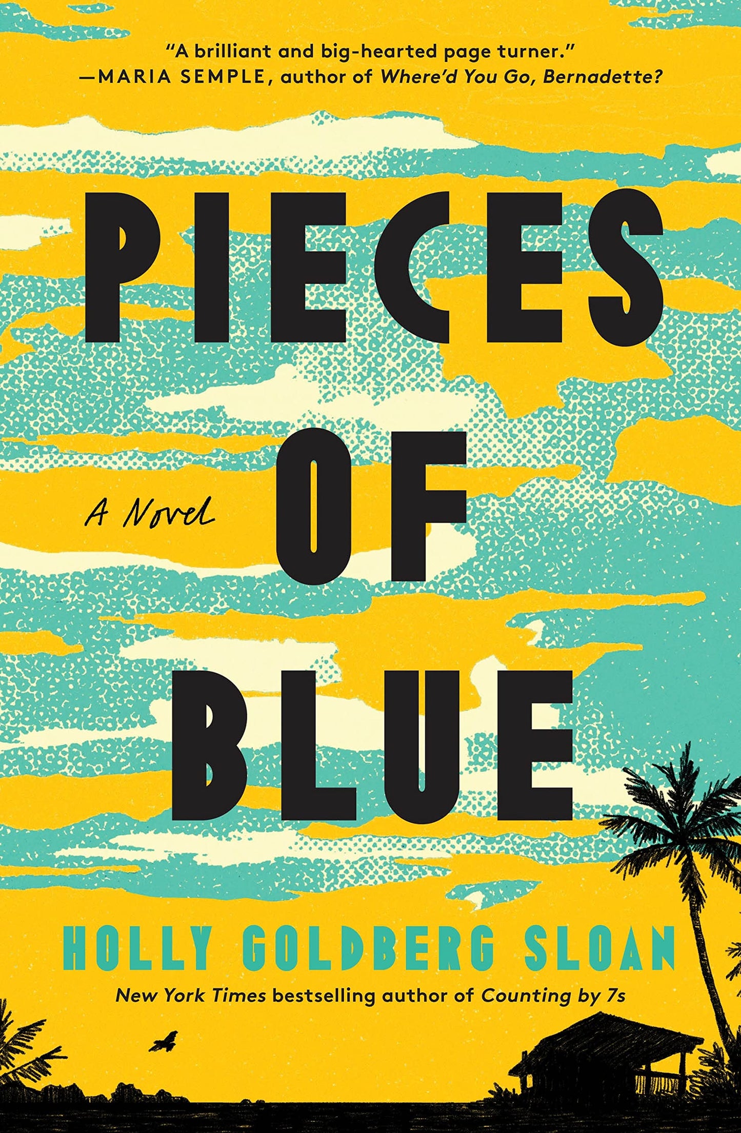 Pieces of Blue book cover