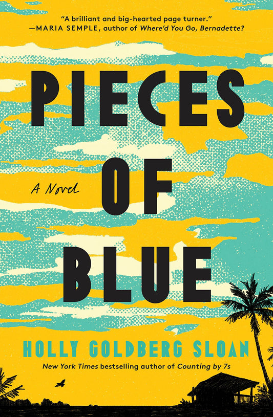 Pieces of Blue book cover
