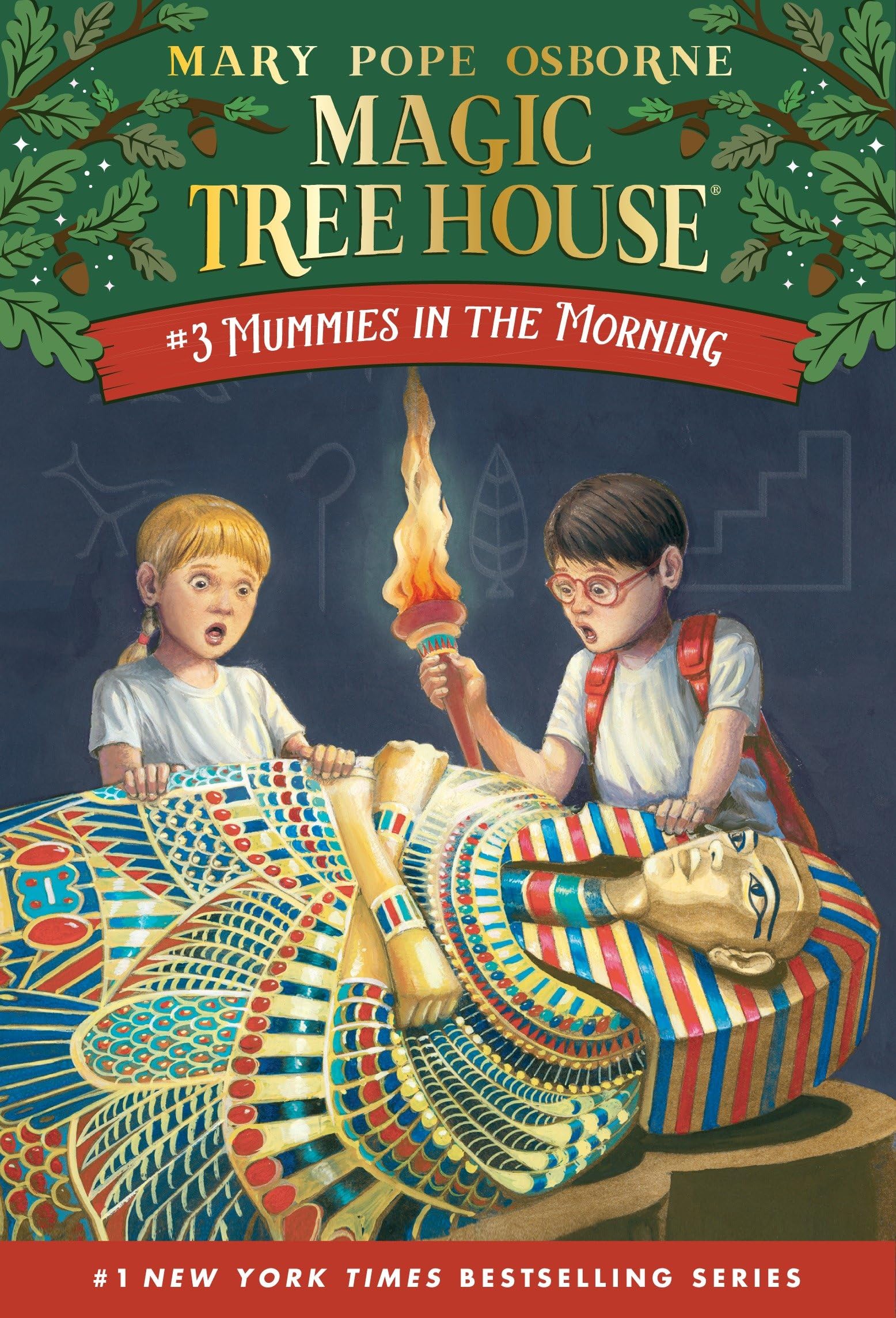 Mummies in the Morning book cover