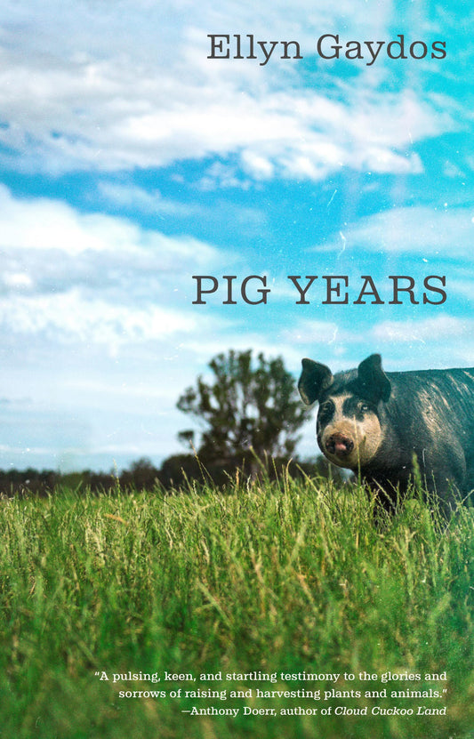 Pig Years