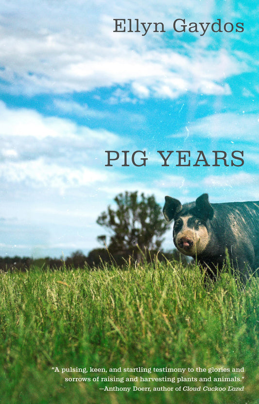 Pig Years book cover