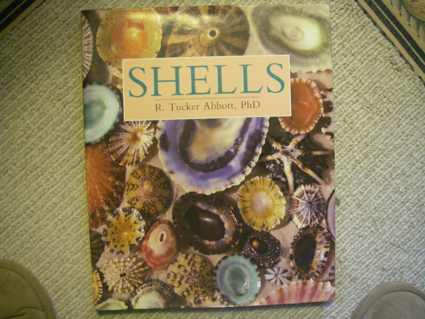 Shells