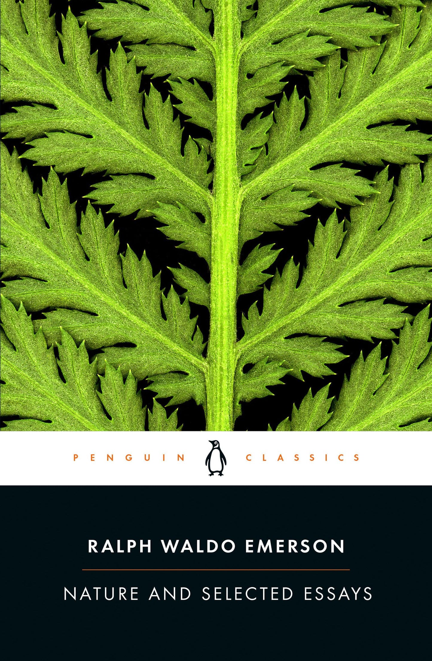 Nature and Selected Essays book cover