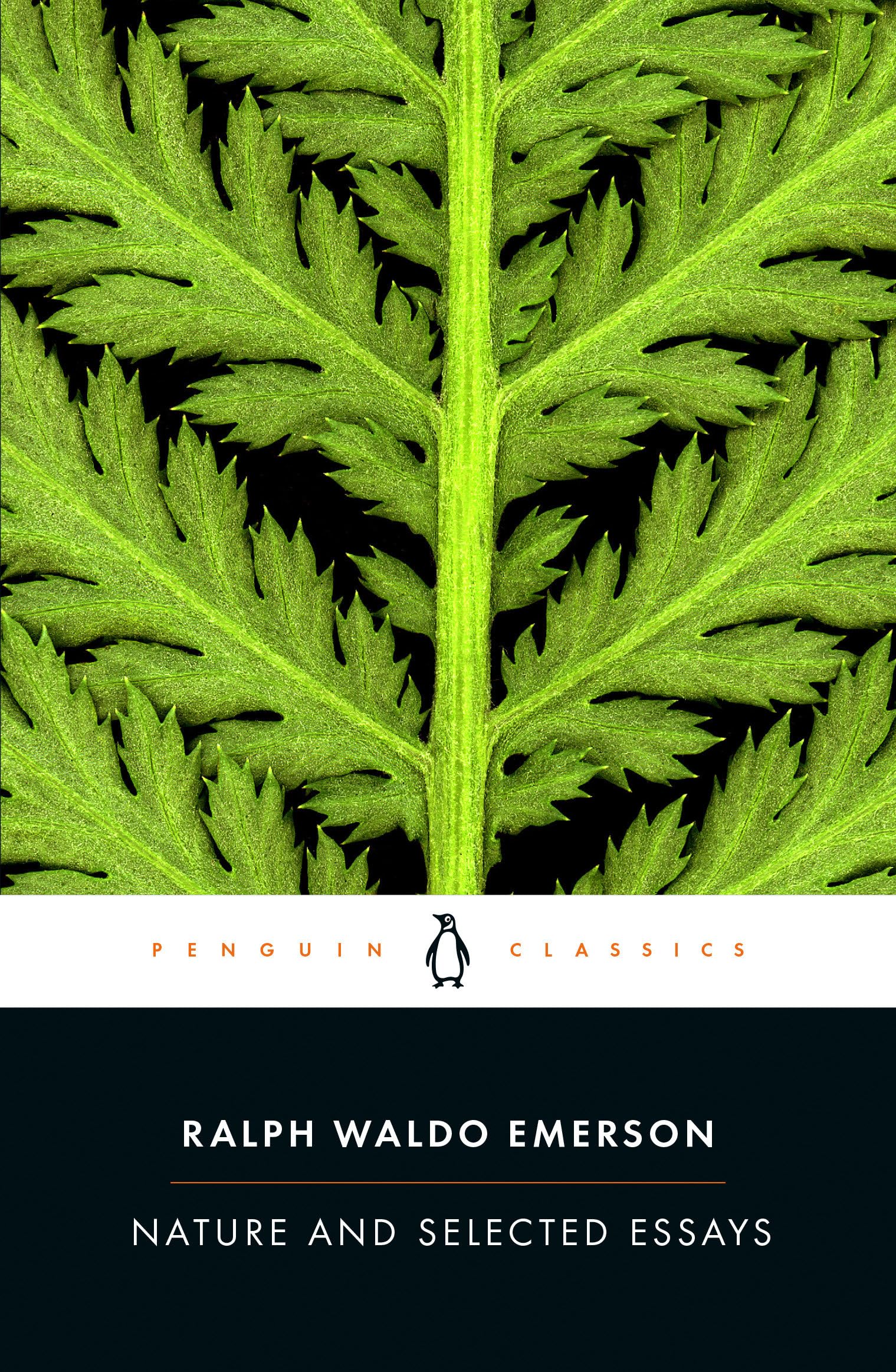 Nature and Selected Essays book cover