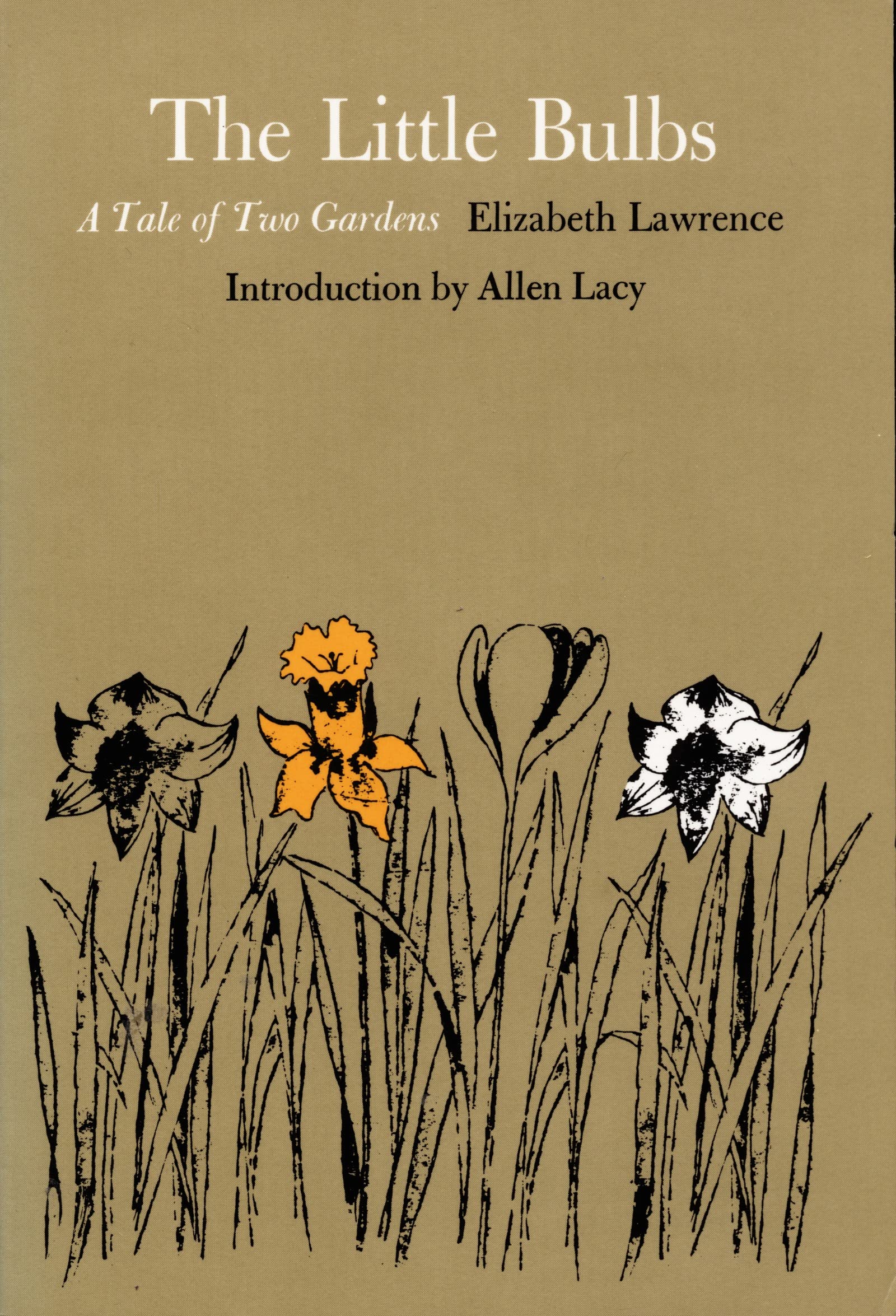 Little Bulbs: A Tale of Two Gardens book cover