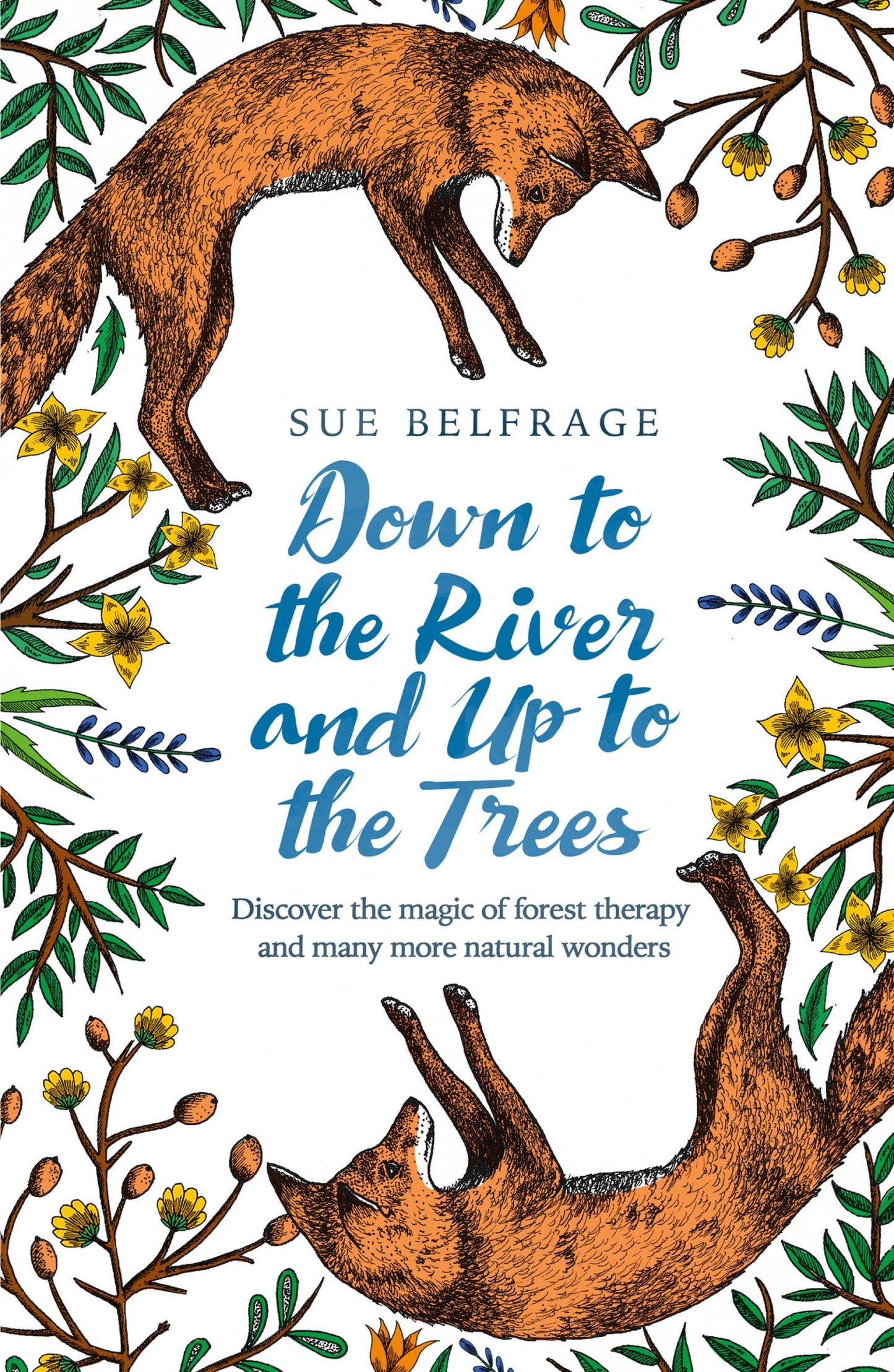 Down to the River and Up to the Trees: Discover the magic of forest therapy and many more natural wonders book cover