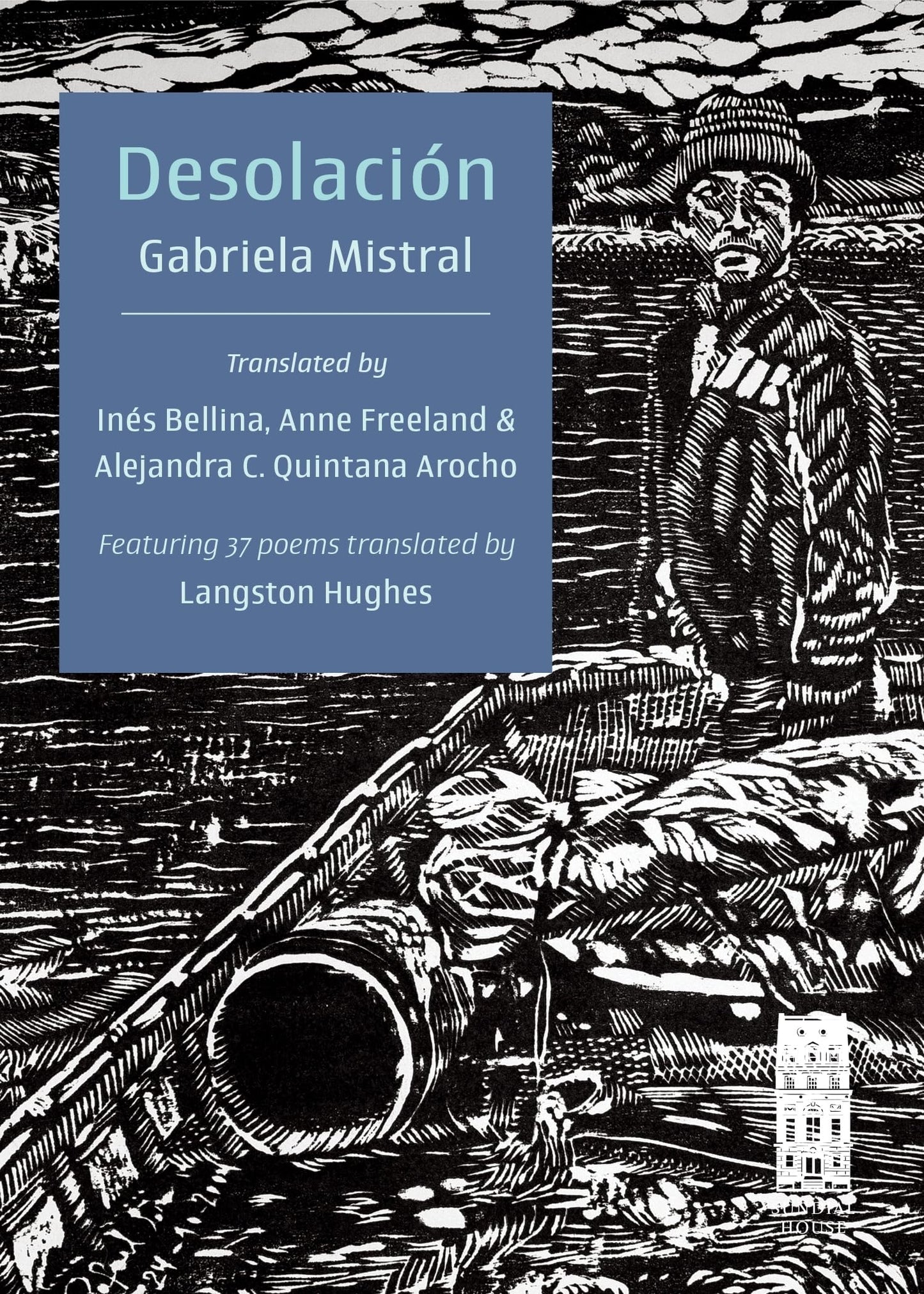 Desolación book cover