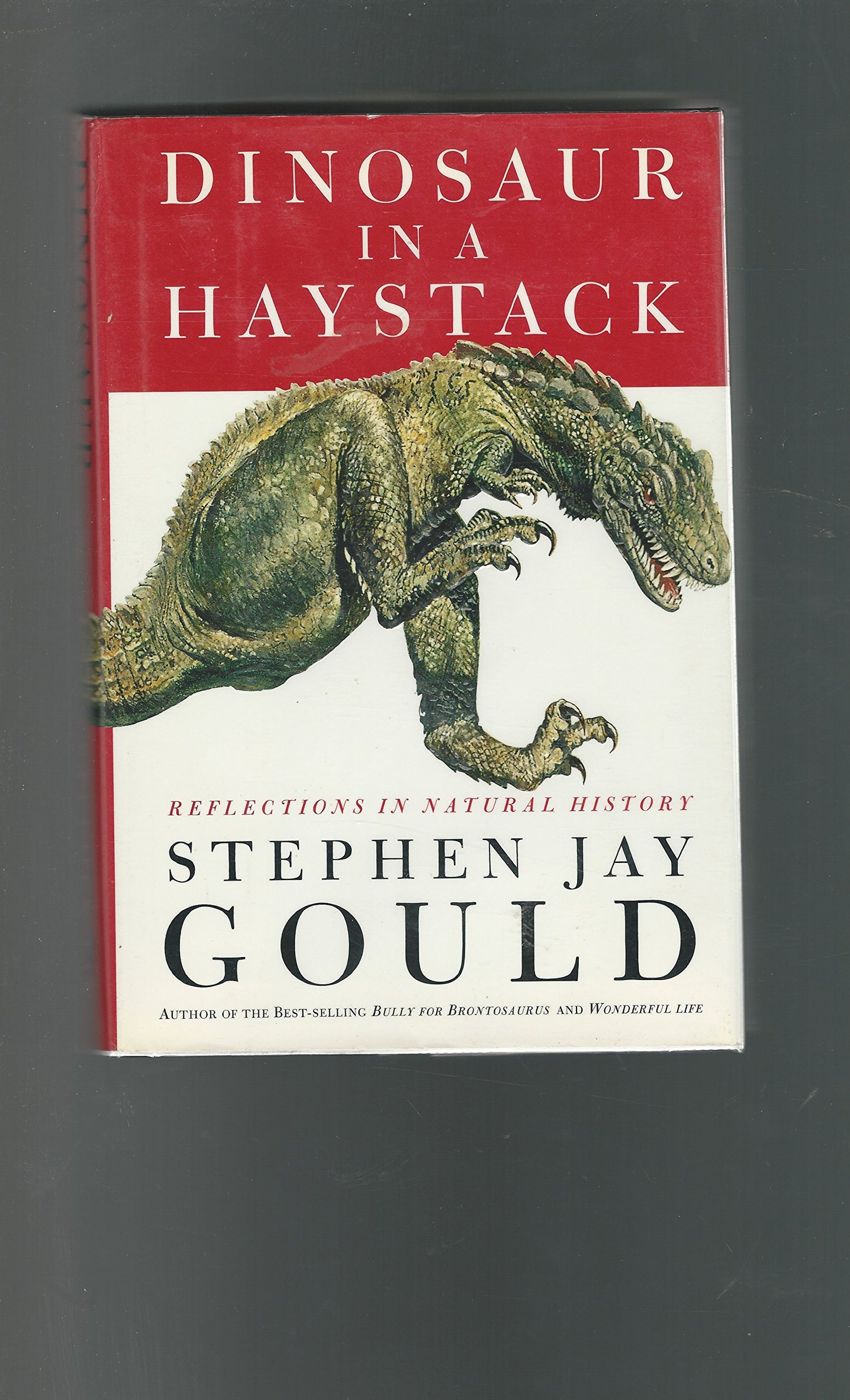 Dinosaur in a Haystack: Reflections in Natural History book cover
