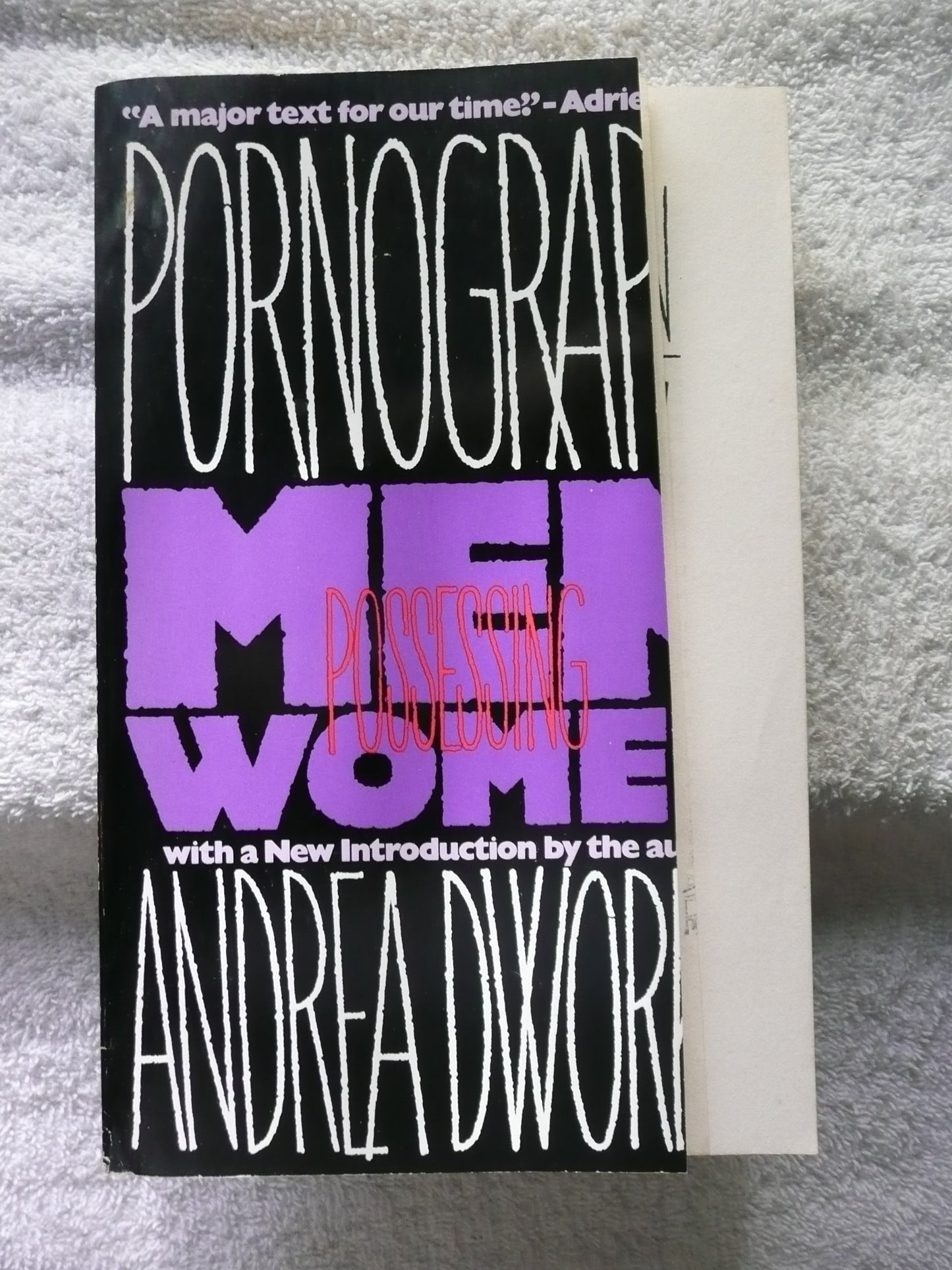 Pornography (Pbk) book cover