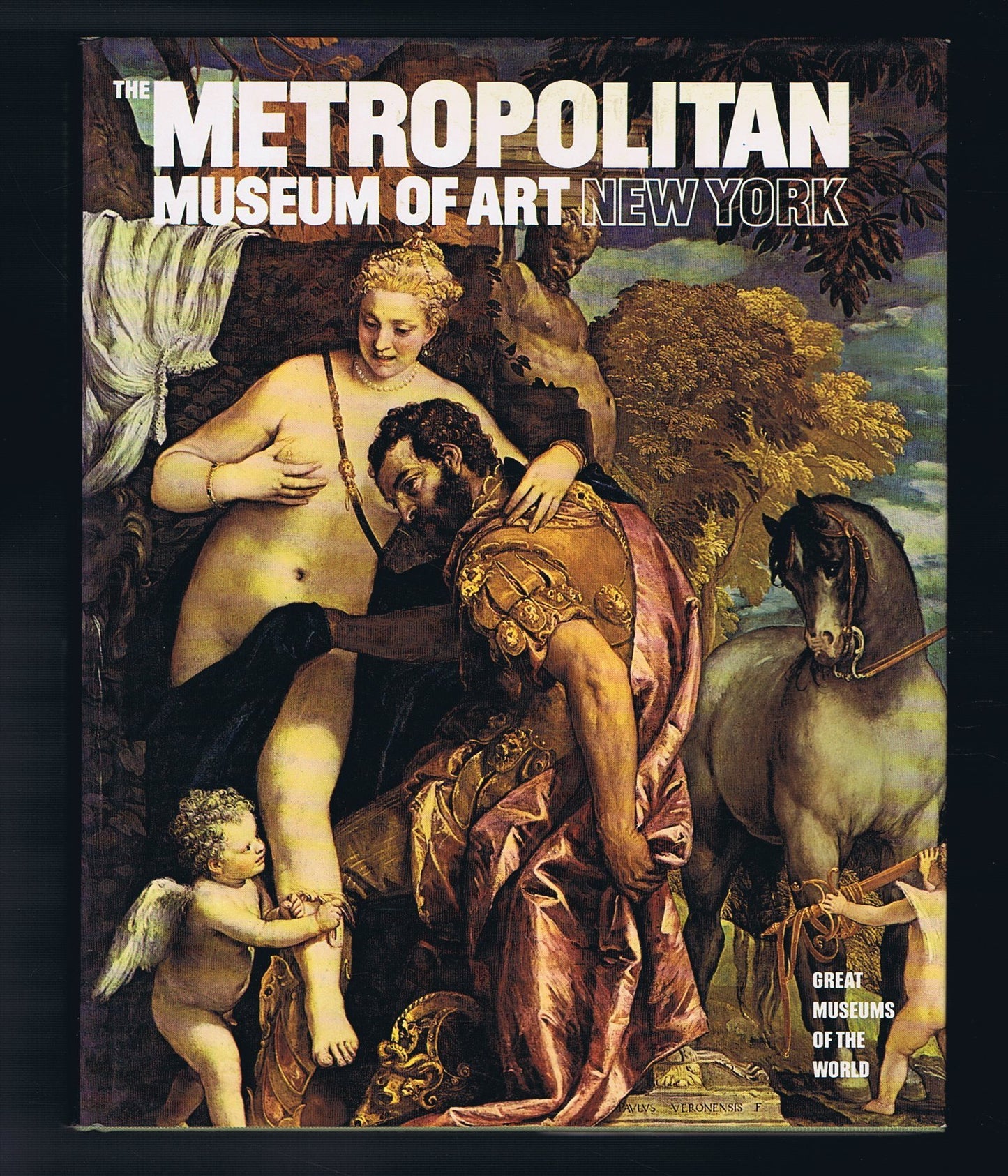Metropolitan Museum of Art, New York book cover