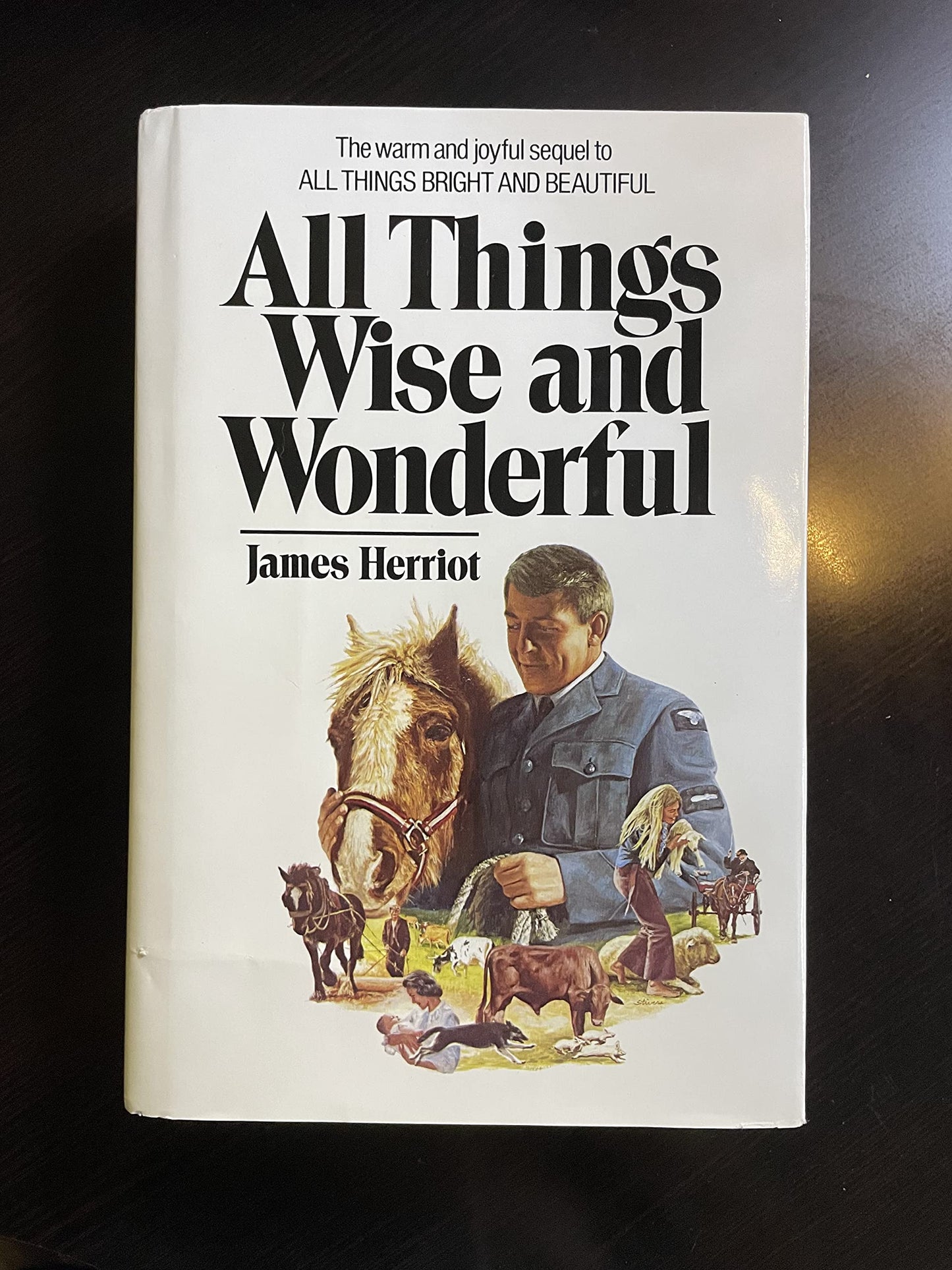 All Things Wise and Wonderful book cover
