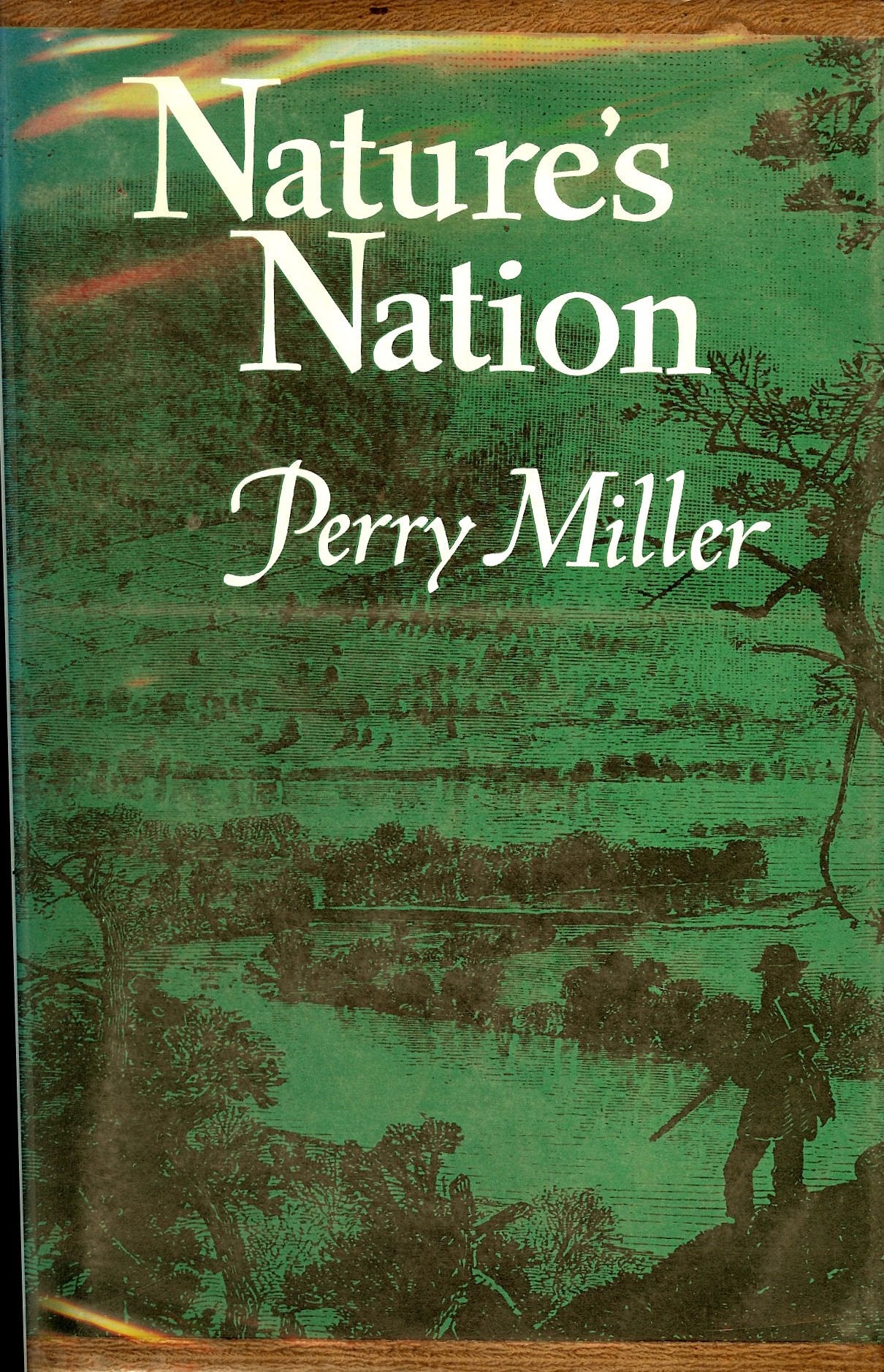Nature's Nation book cover