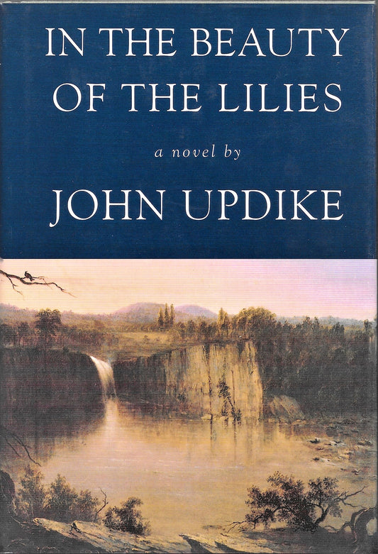 In the Beauty of the Lilies book cover