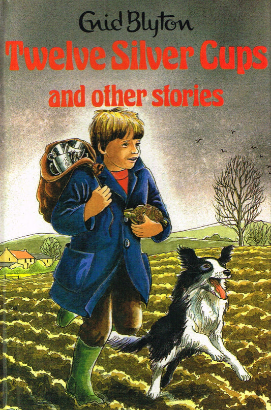 Twelve Silver Cups: and Other Stories (Enid Blyton's Popular Rewards Series I) book cover
