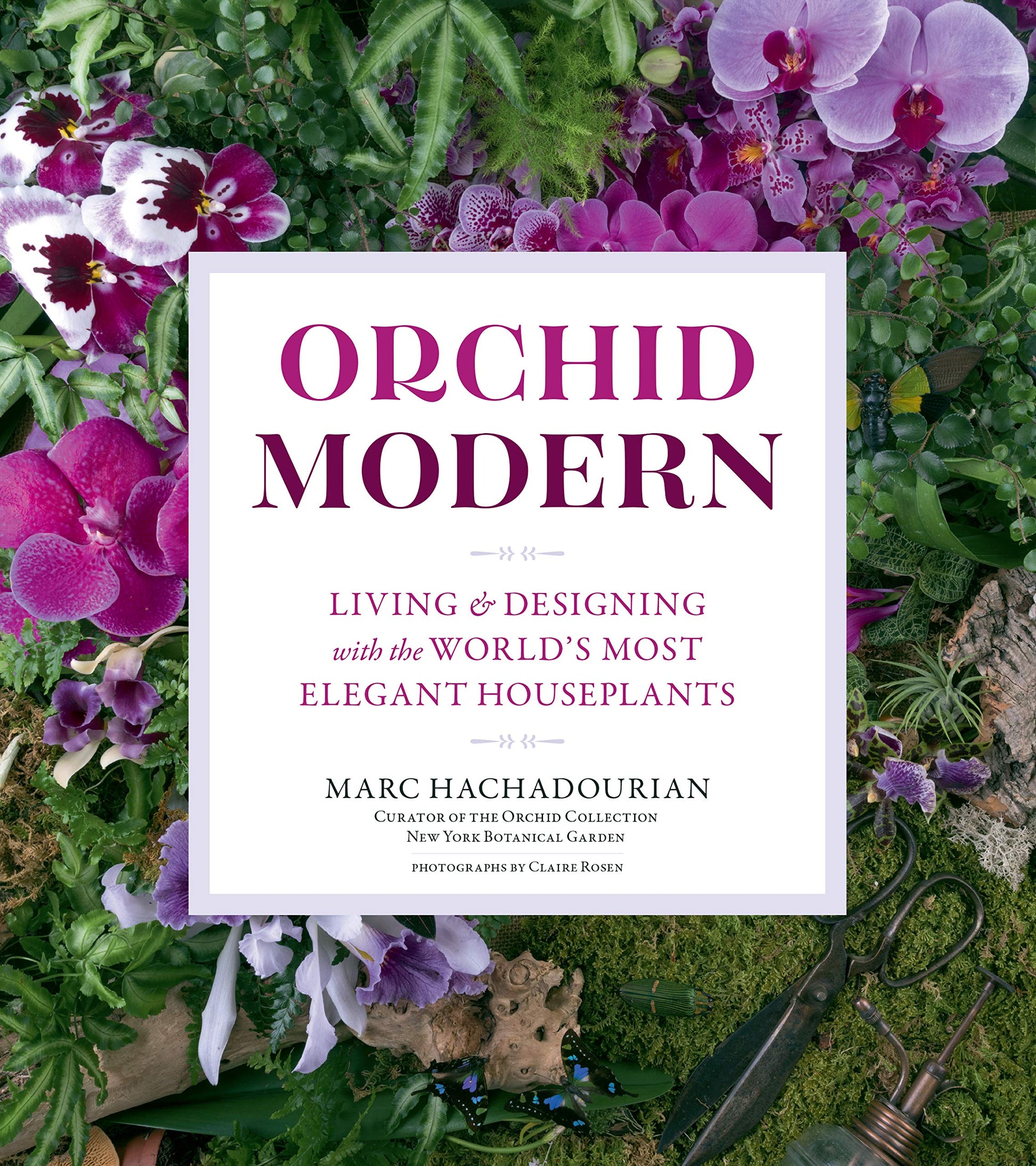 Orchid Modern: Living and Designing with the World's Most Elegant Houseplants book cover