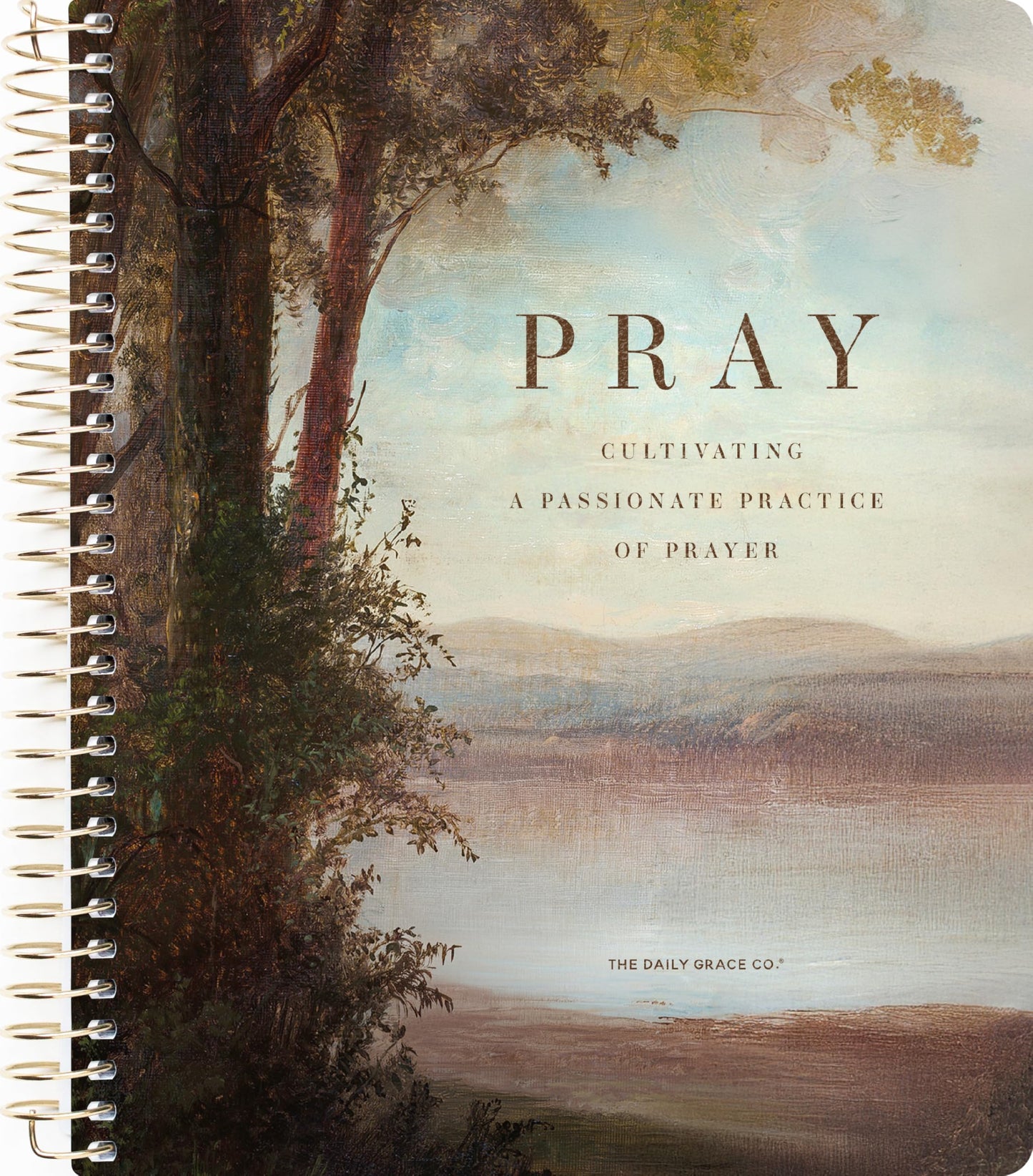 Pray | 5-Week Bible Study book cover