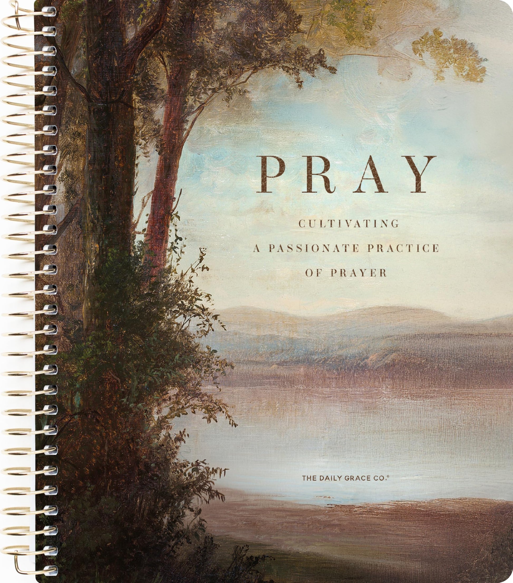 Pray | 5-Week Bible Study book cover