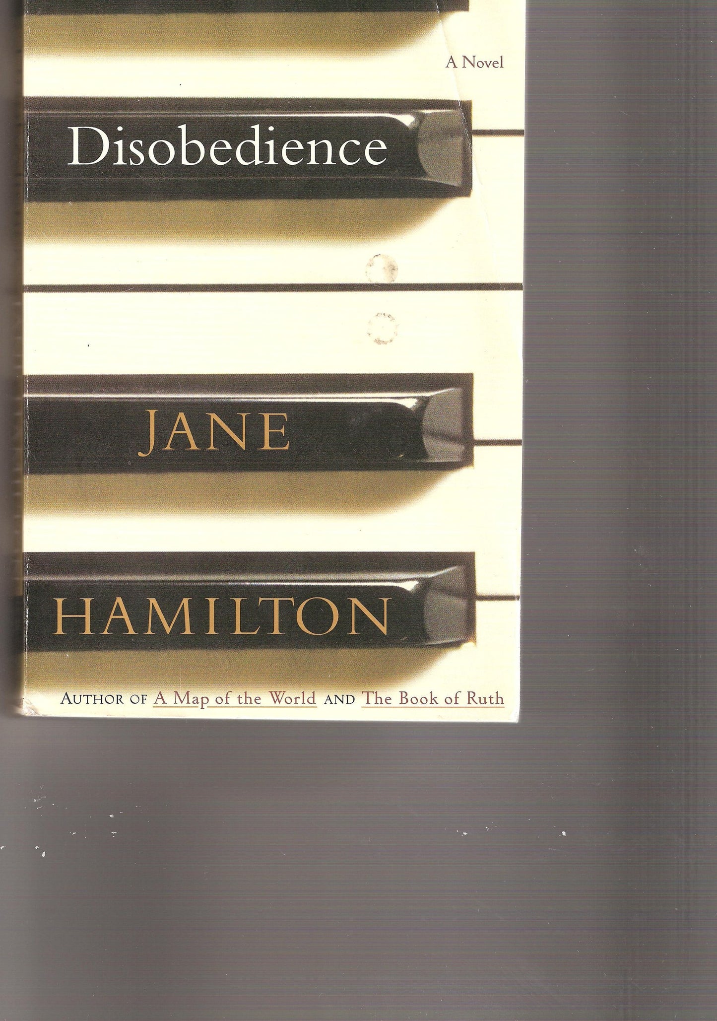 Disobedience: A Novel book cover