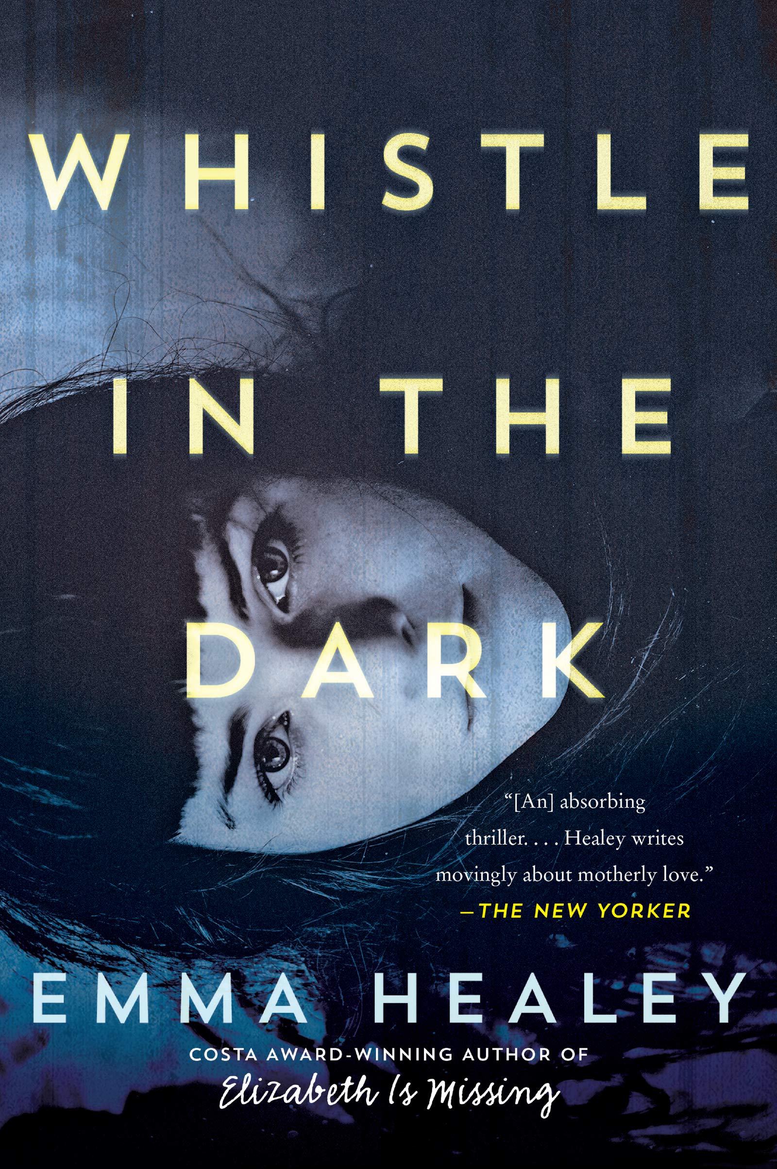 Whistle in the Dark book cover