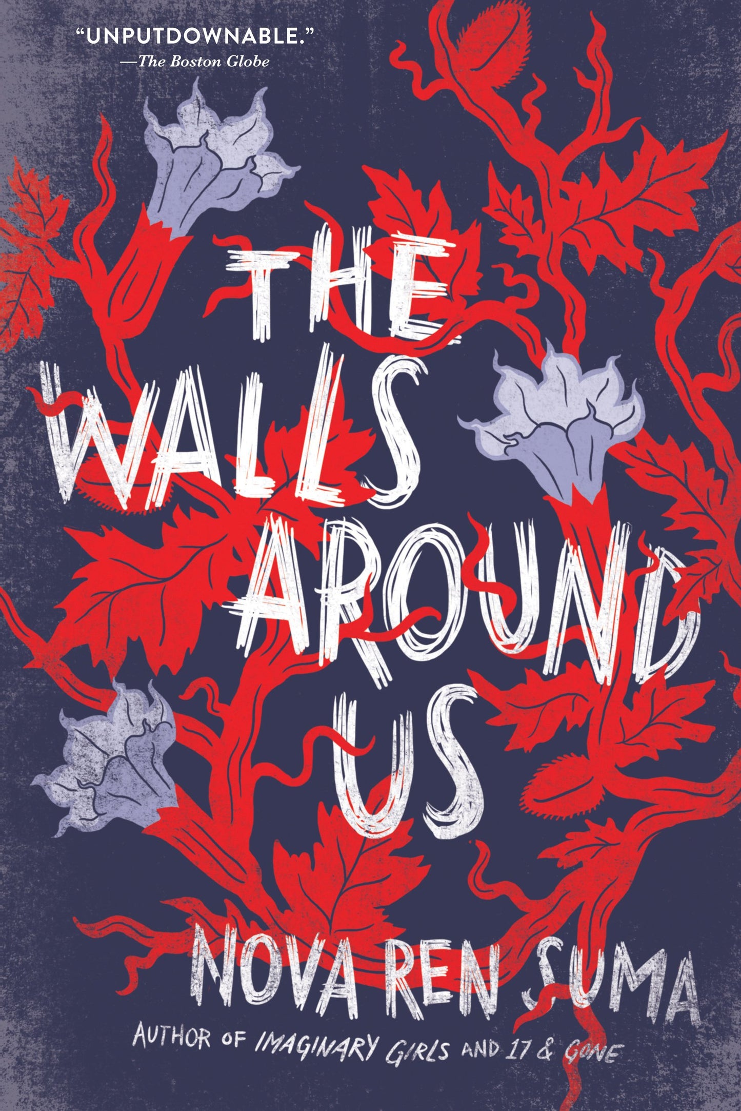 Walls Around Us book cover