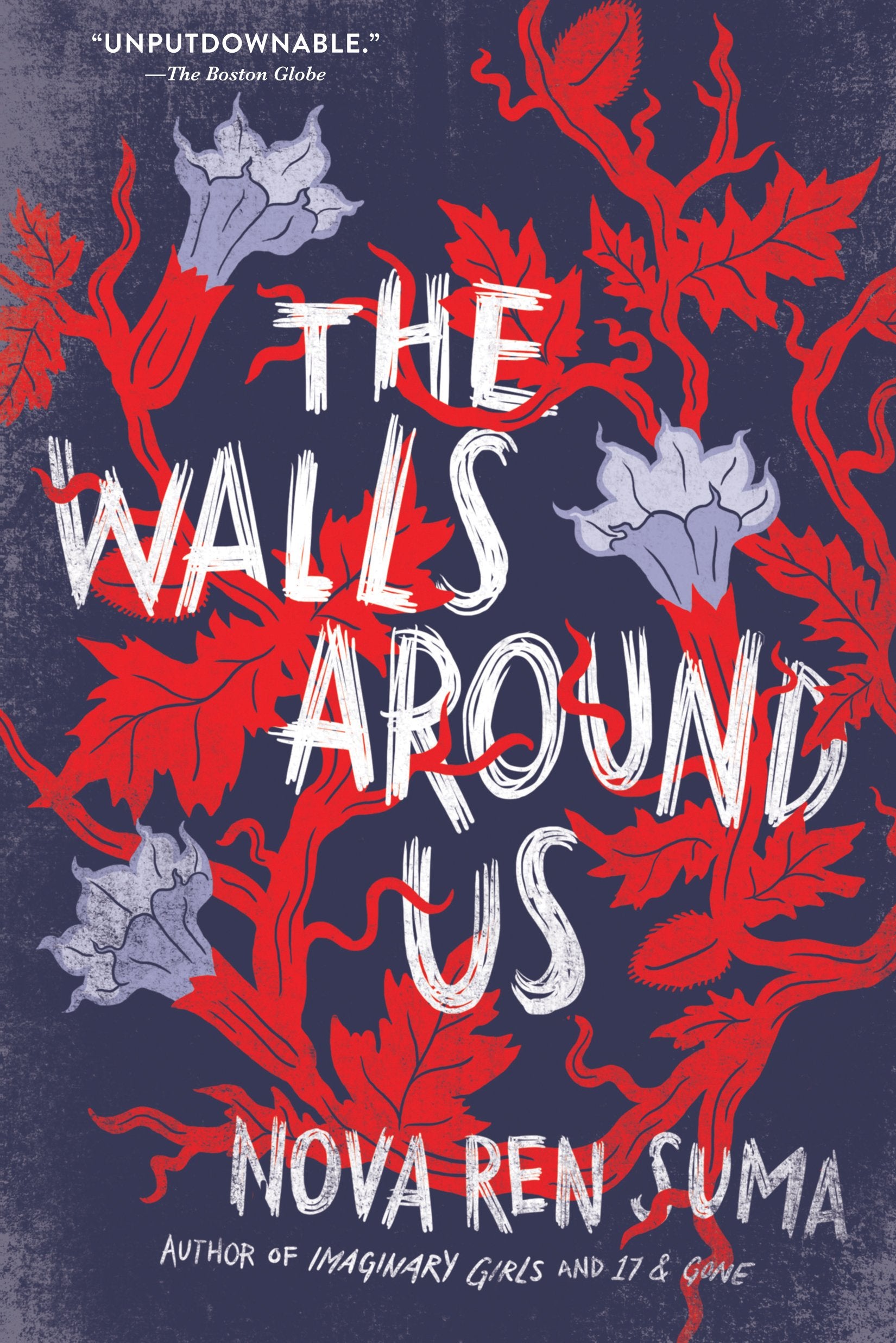 Walls Around Us book cover