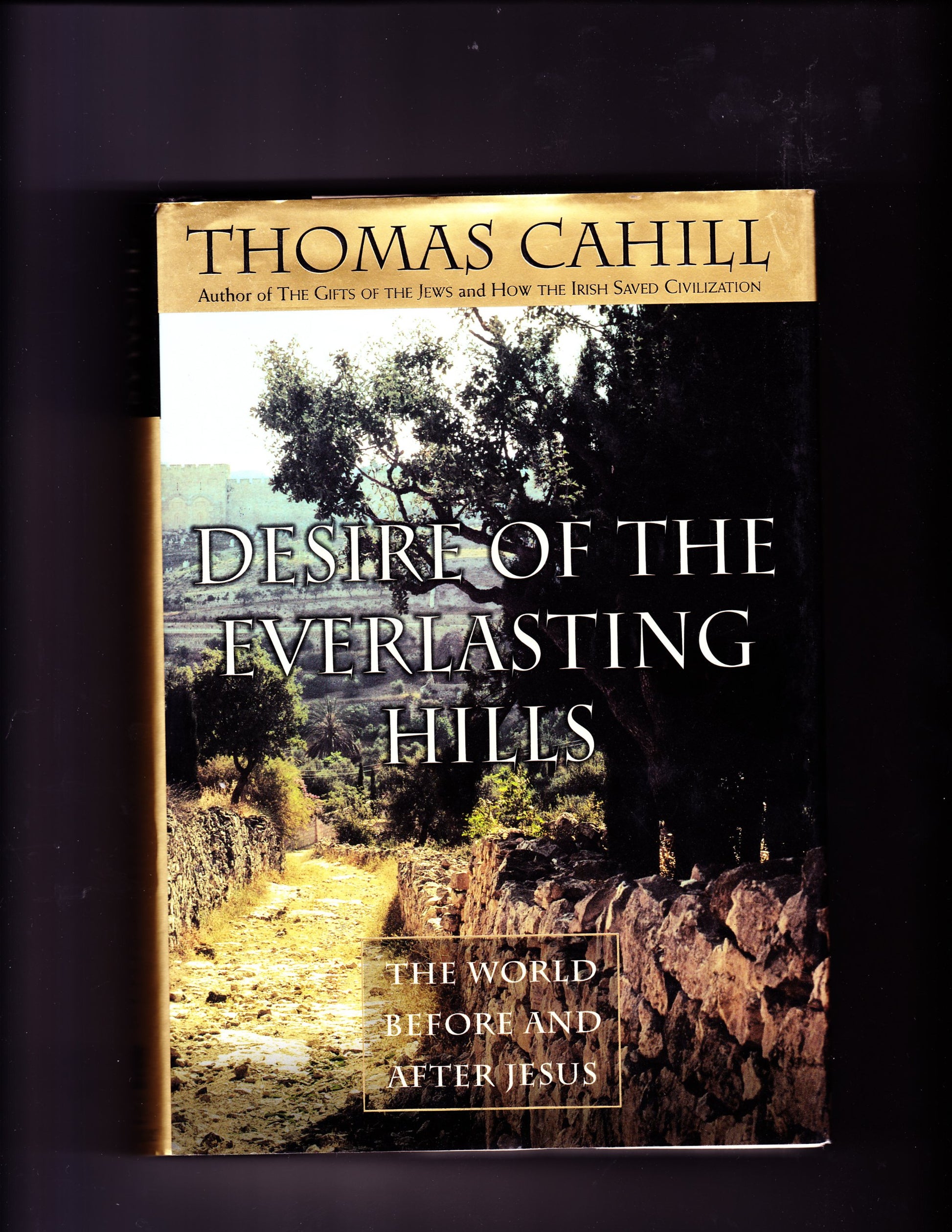 Desire of the Everlasting Hills: The World Before and After Jesus book cover