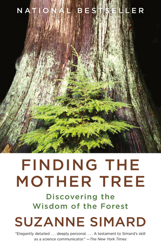 Finding the Mother Tree: Discovering the Wisdom of the Forest book cover
