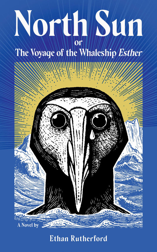 North Sun book cover