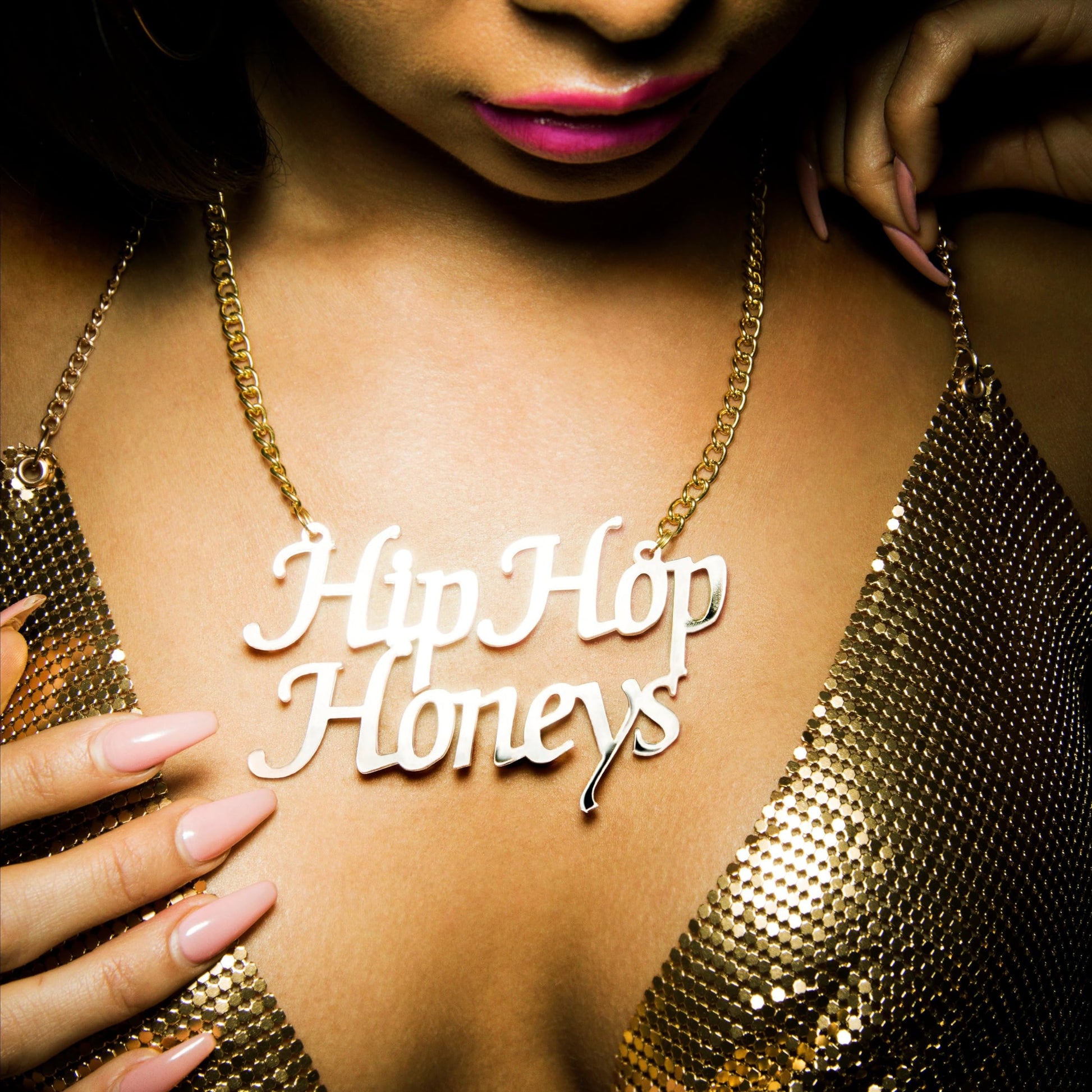 Hip Hop Honeys book cover