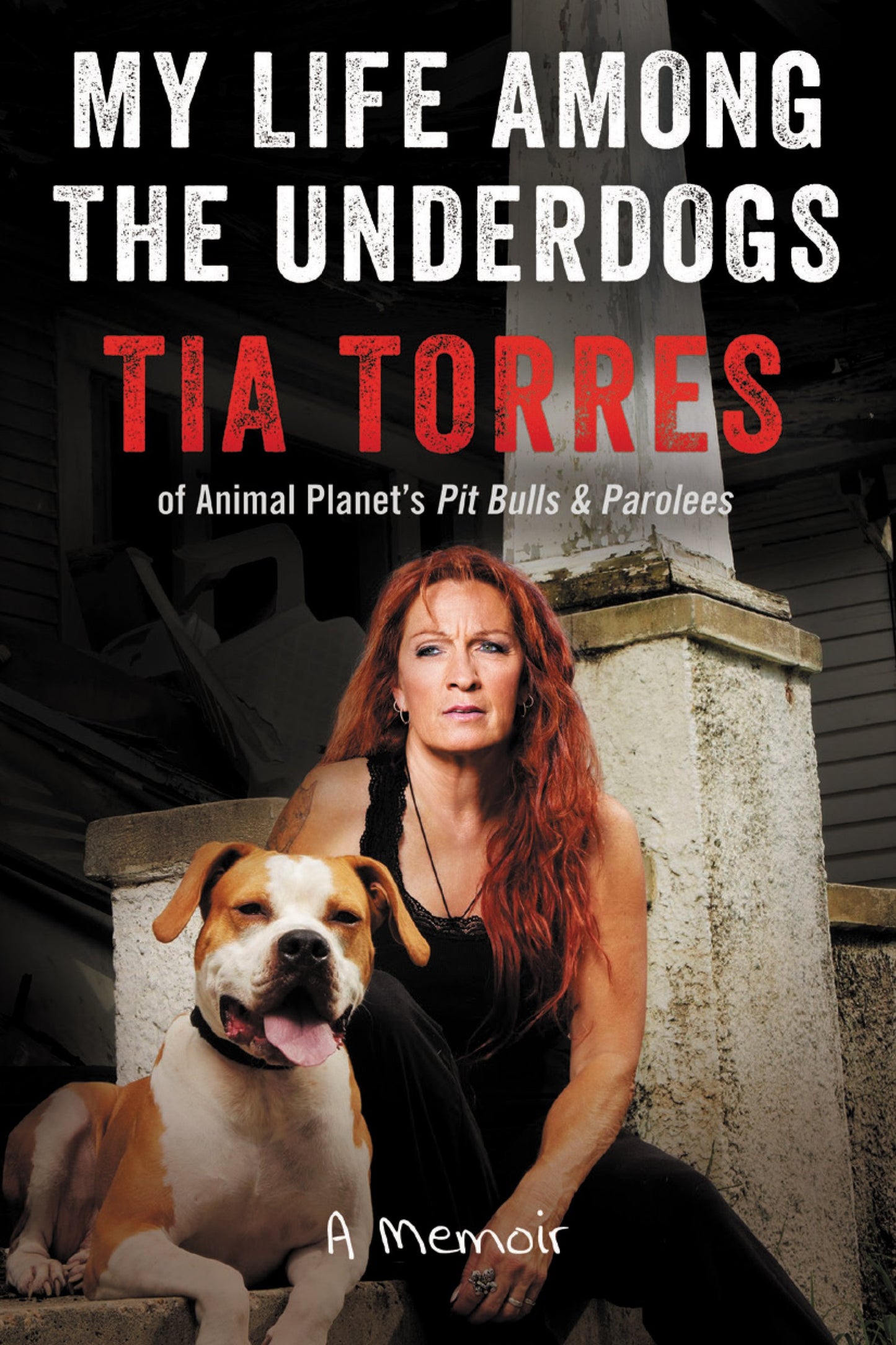 My Life Among the Underdogs: A Memoir book cover