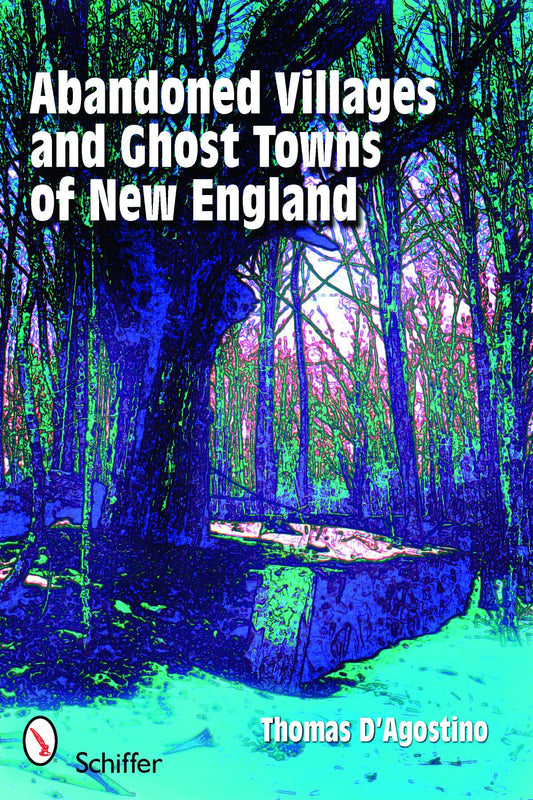 Abandoned Villages and Ghost Towns of New England book cover