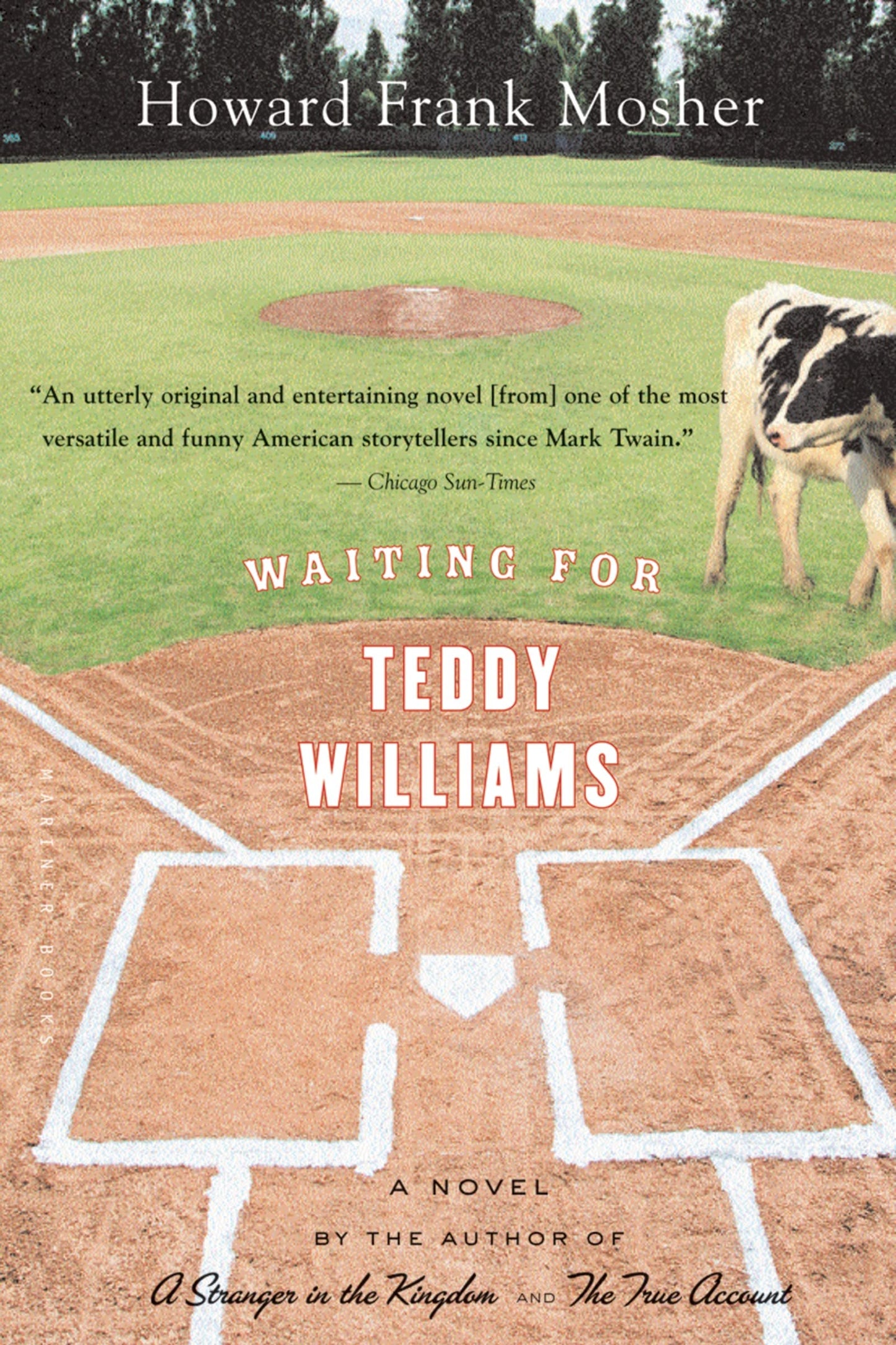 Waiting for Teddy Williams book cover