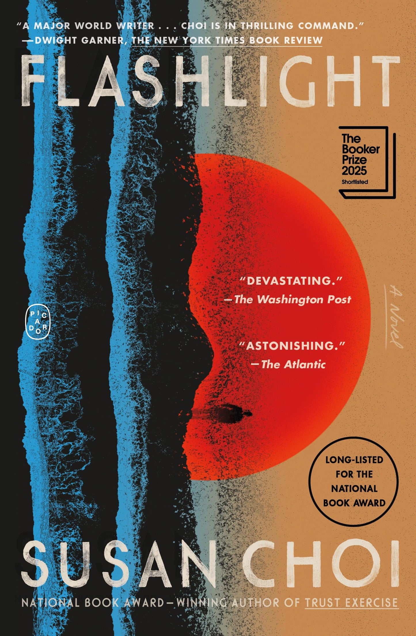 Flashlight book cover