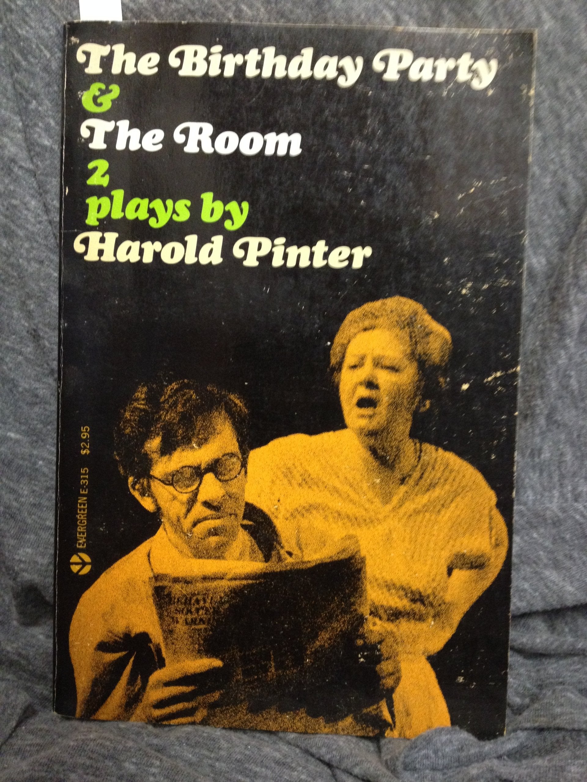 Birthday Party and the Room book cover
